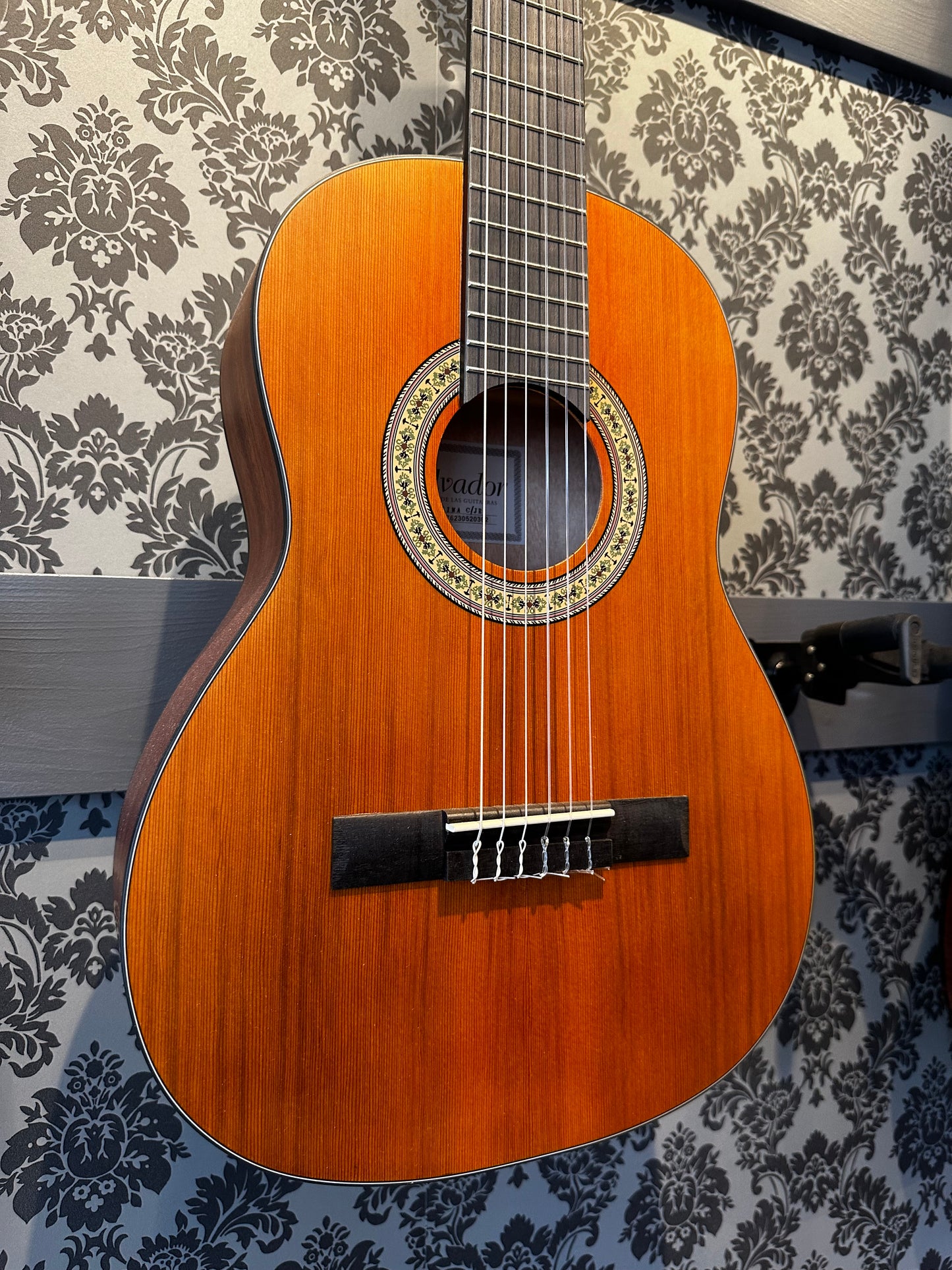 Salvador Cortez Student Prima C/JR 3/4 maat