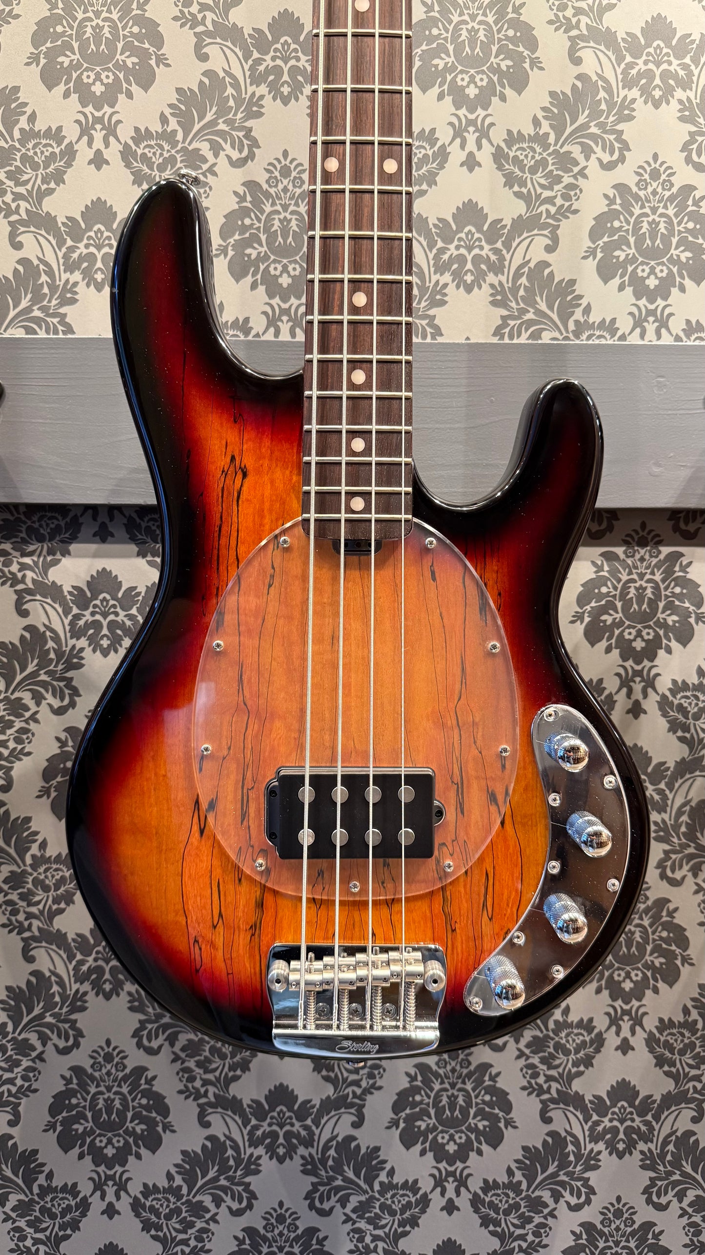 Sterling By Music Man Ray34 Spalted Maple