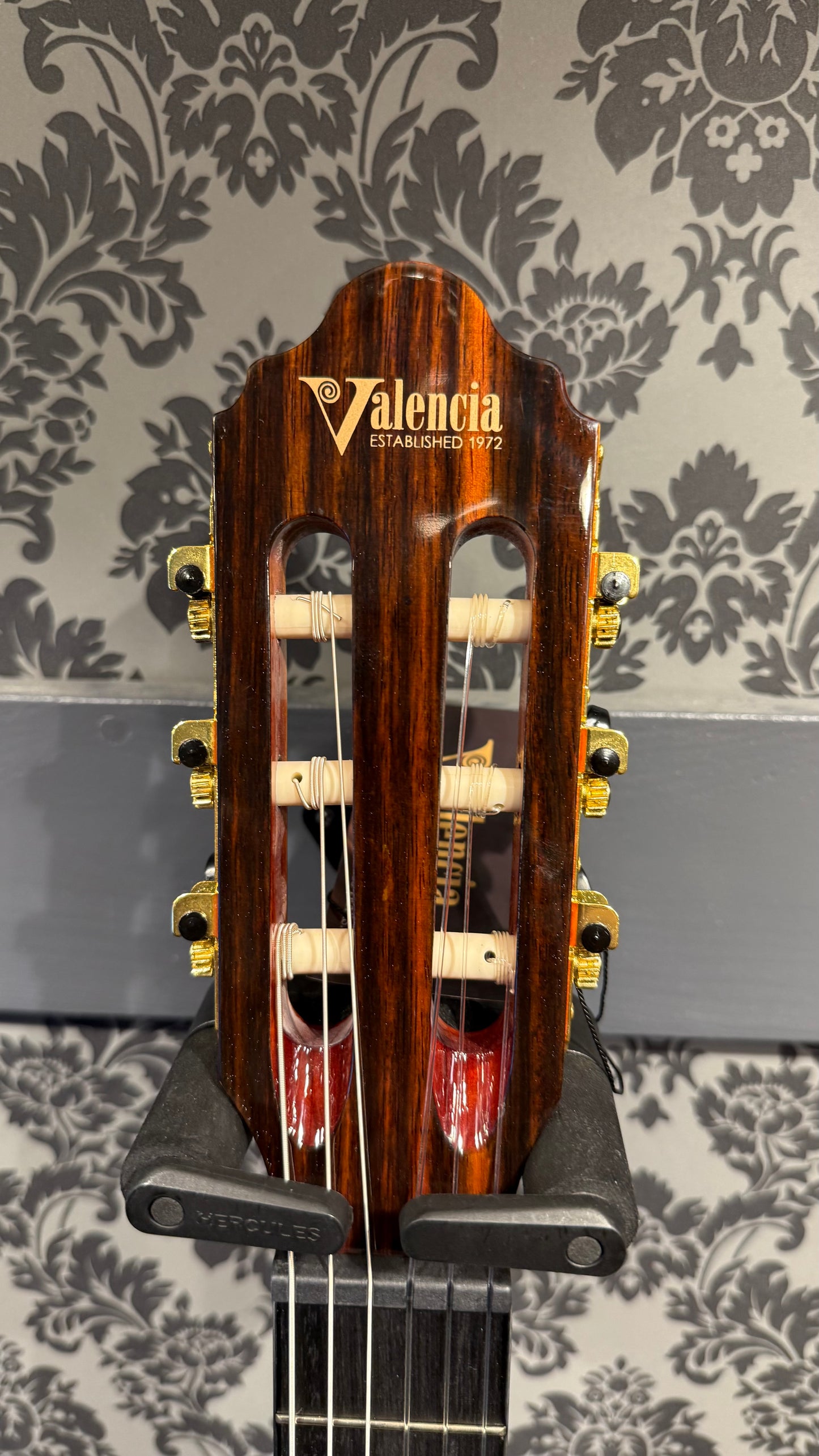Valencia VC-263 3/4 Sitka Spruce classic