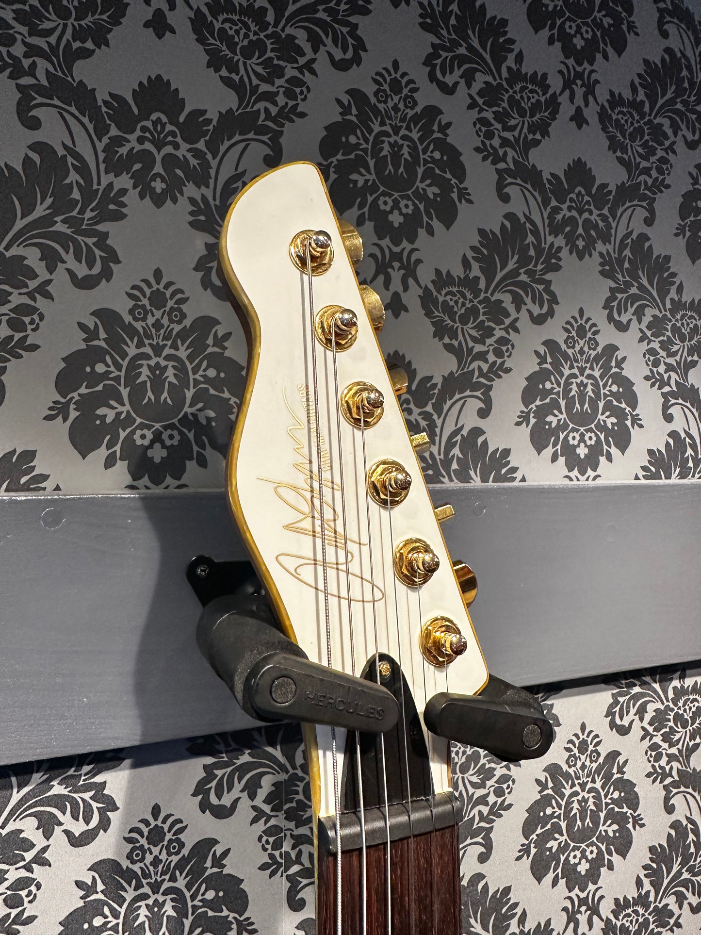 Chapman Chris Robertson Signature White Incl. gigbag