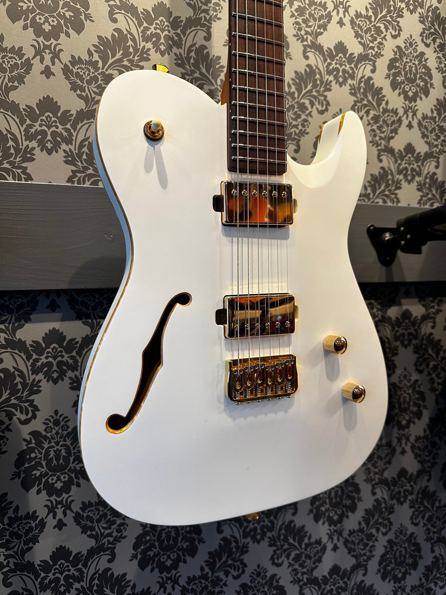 Chapman Chris Robertson Signature White Incl. gigbag