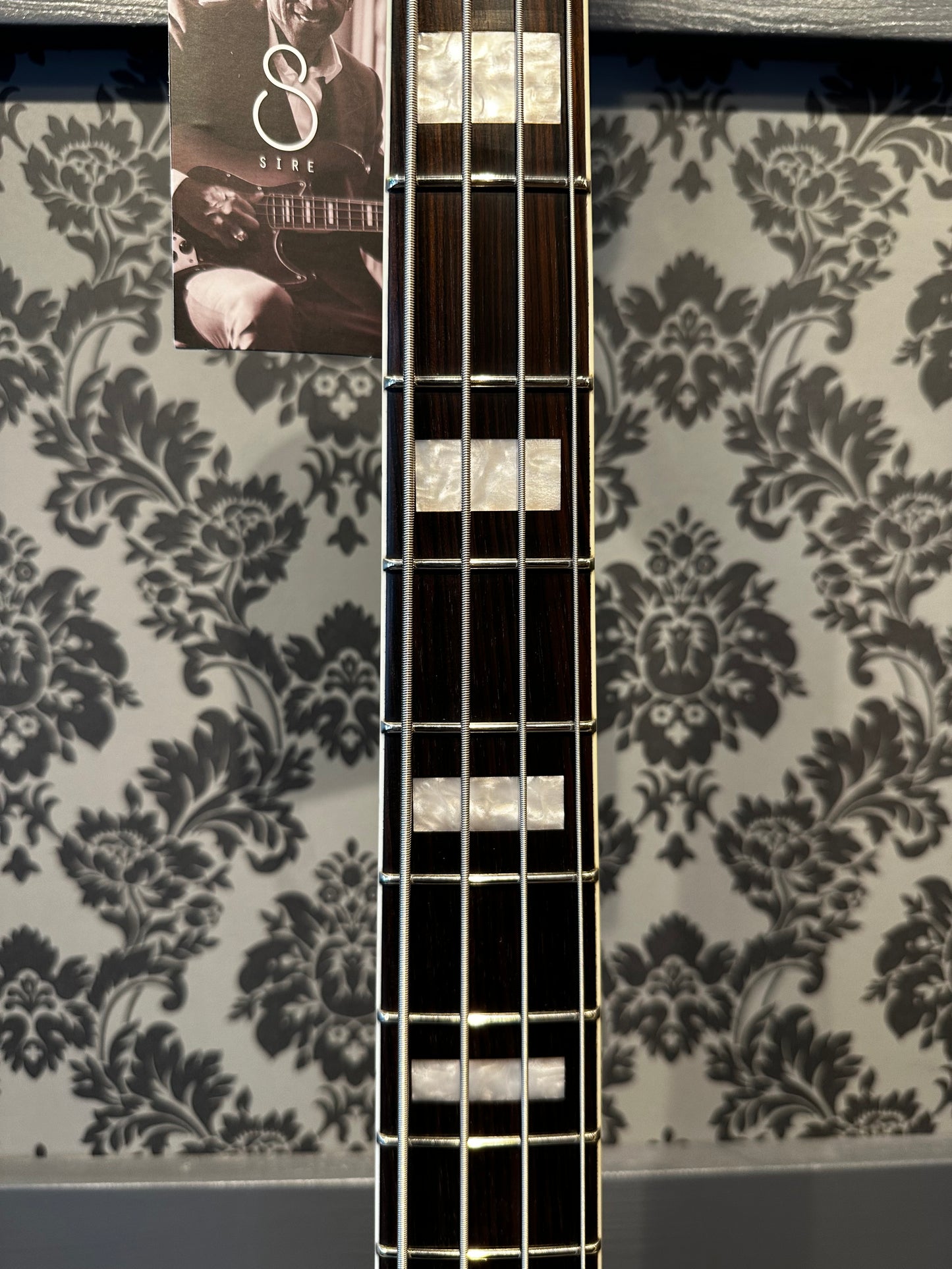 Sire V7+ A4 AHW 2nd gen. Marcus Miller Antique White