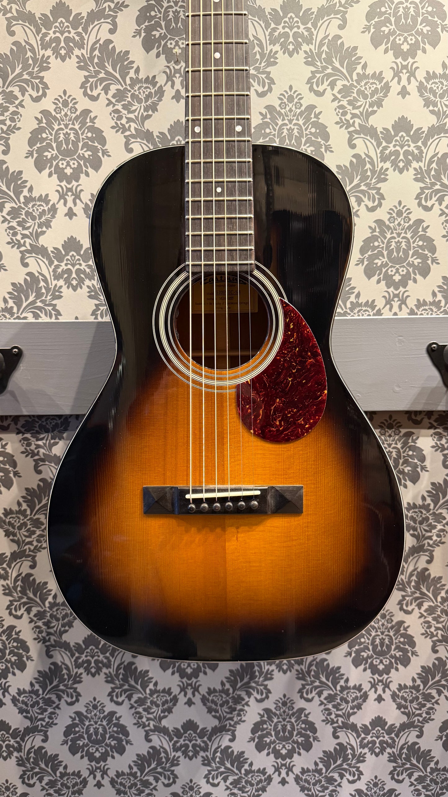 Eastman E10 P TC SB VTC incl. case (occasion)