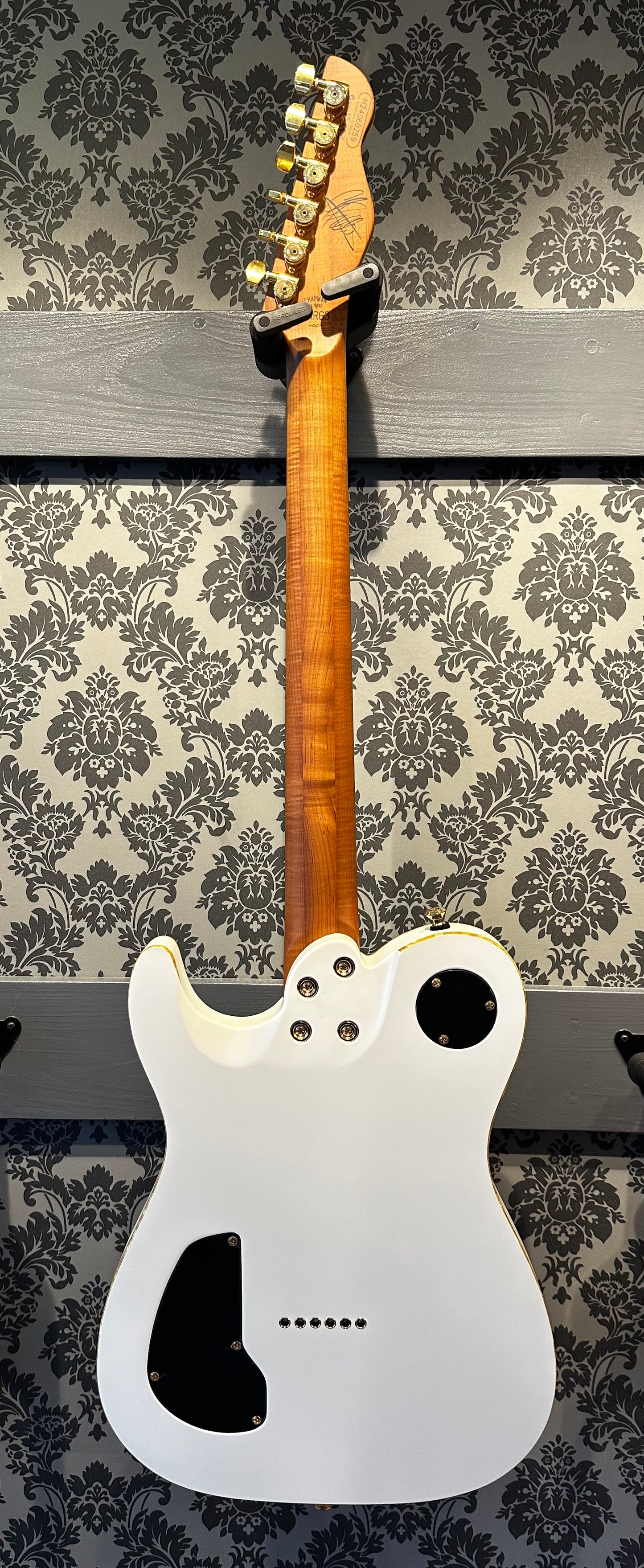 Chapman Chris Robertson Signature White Incl. gigbag