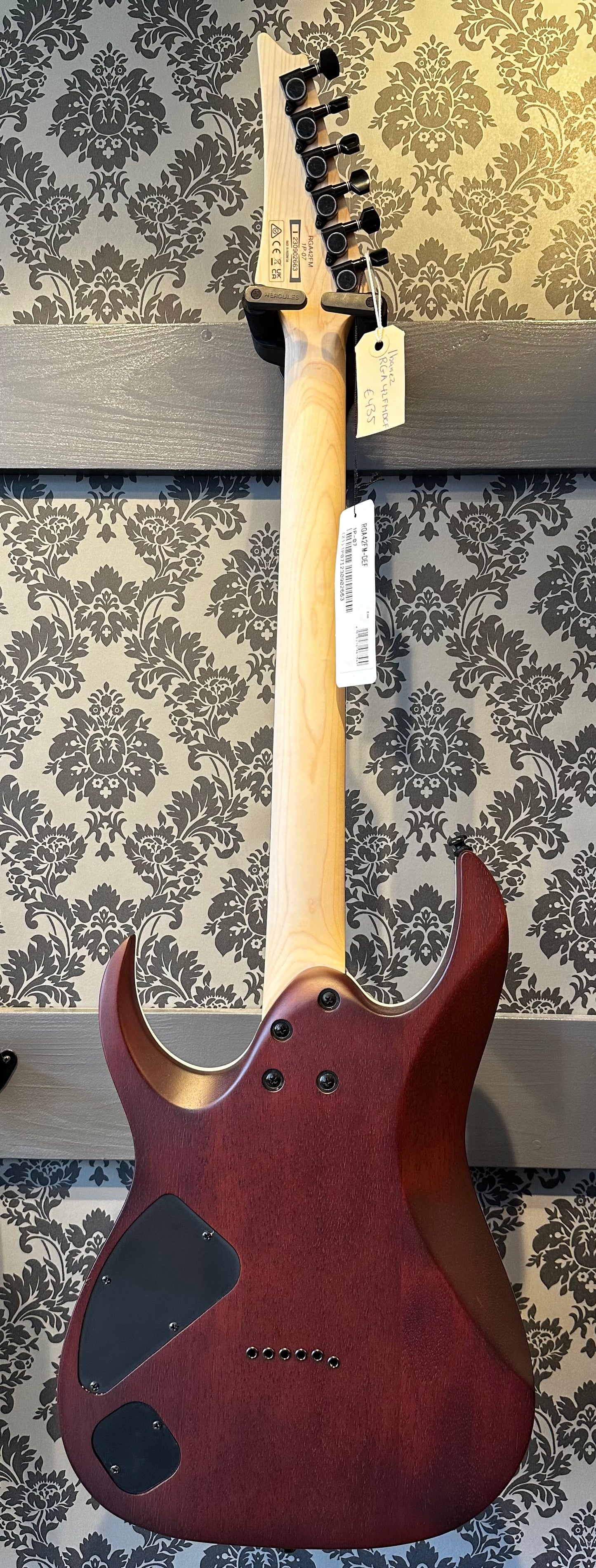 Ibanez RGA42-FM Dragon Eye Flat
