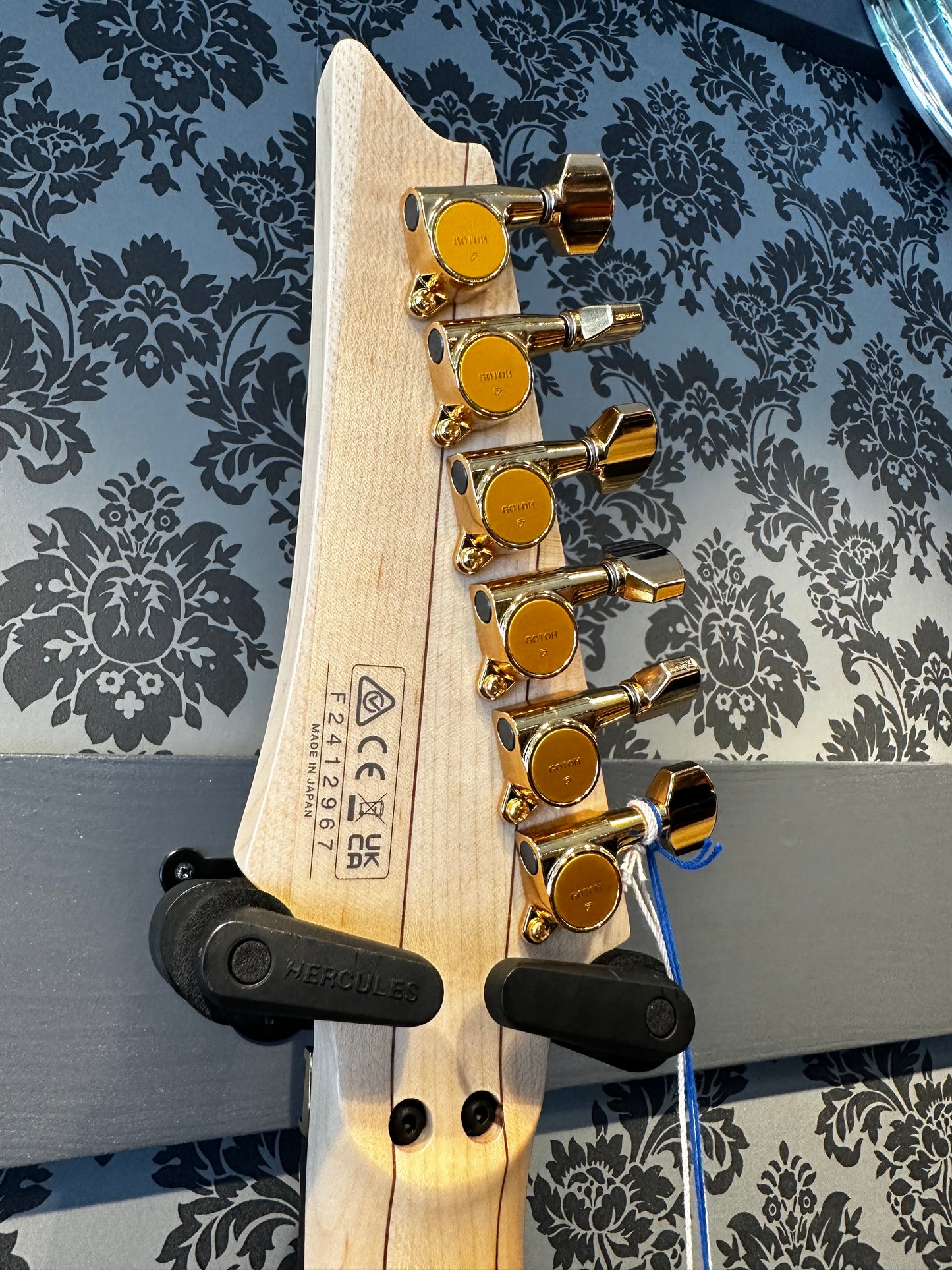 Ibanez PIA3761-XB Steve Vai Signature Model