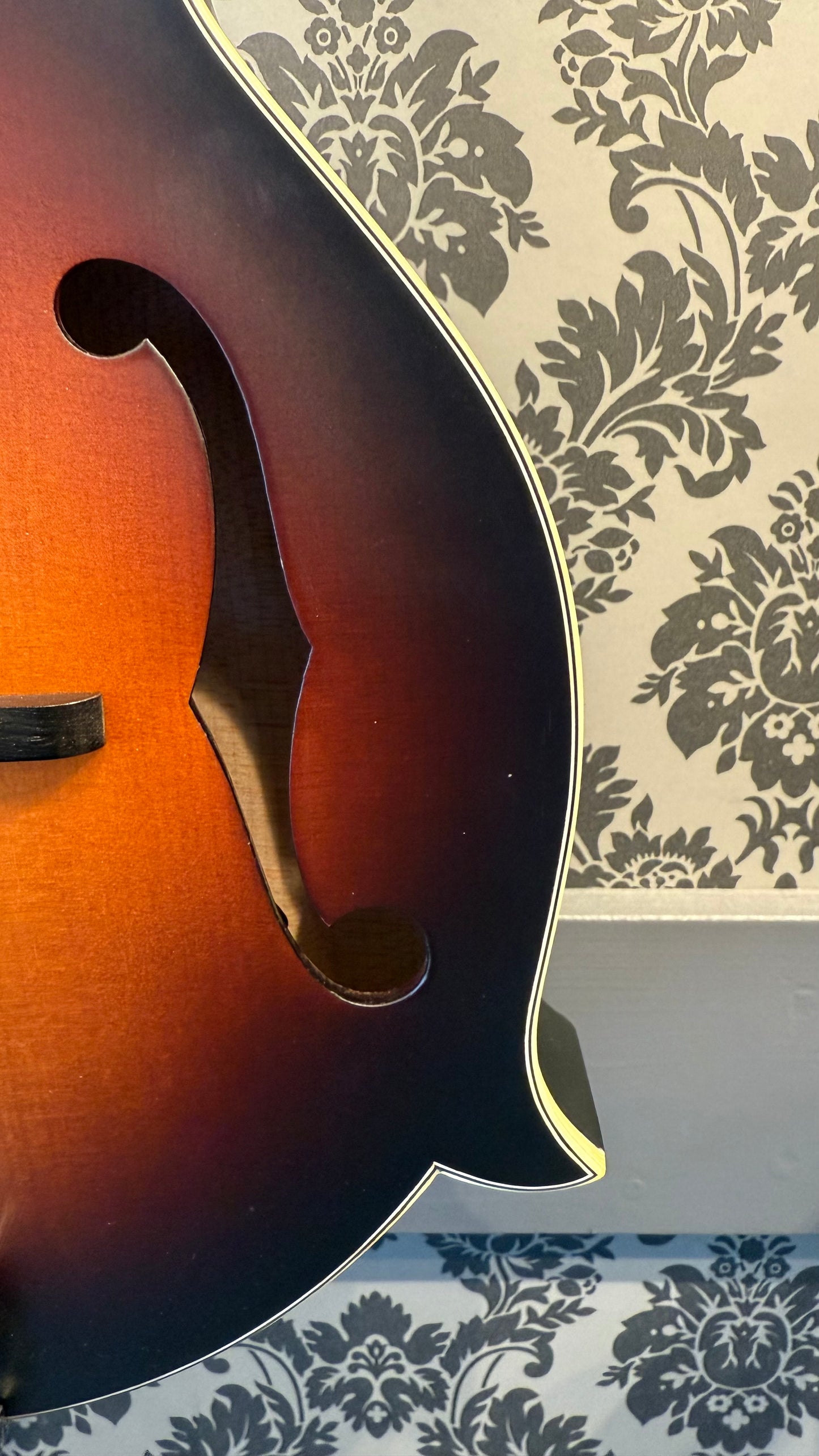 Eastman MD315E-SB K&K Mandoline F style incl.bag (B-Stock)