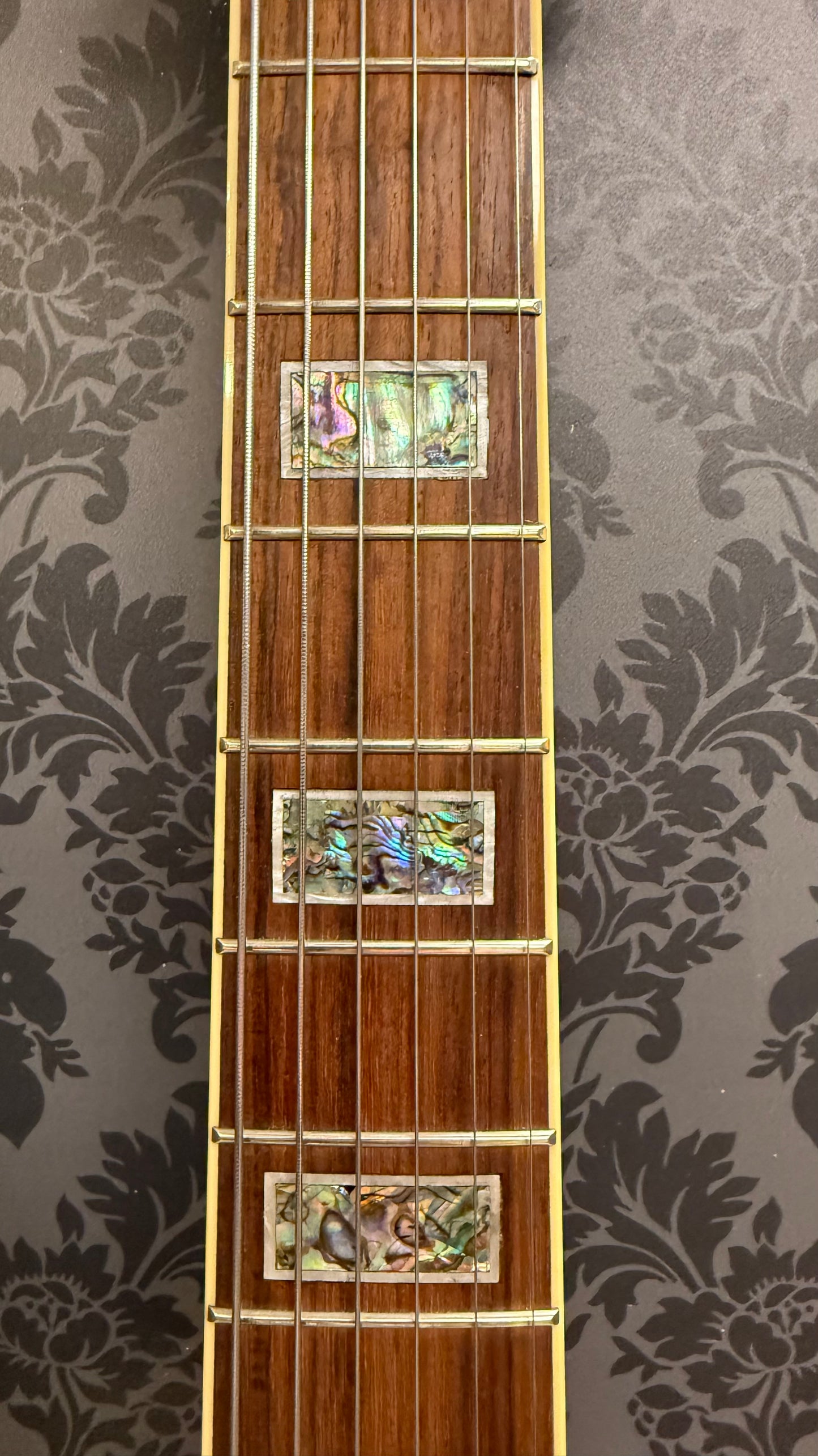 Ibanez AF85-VLS-12-01 (occasion)