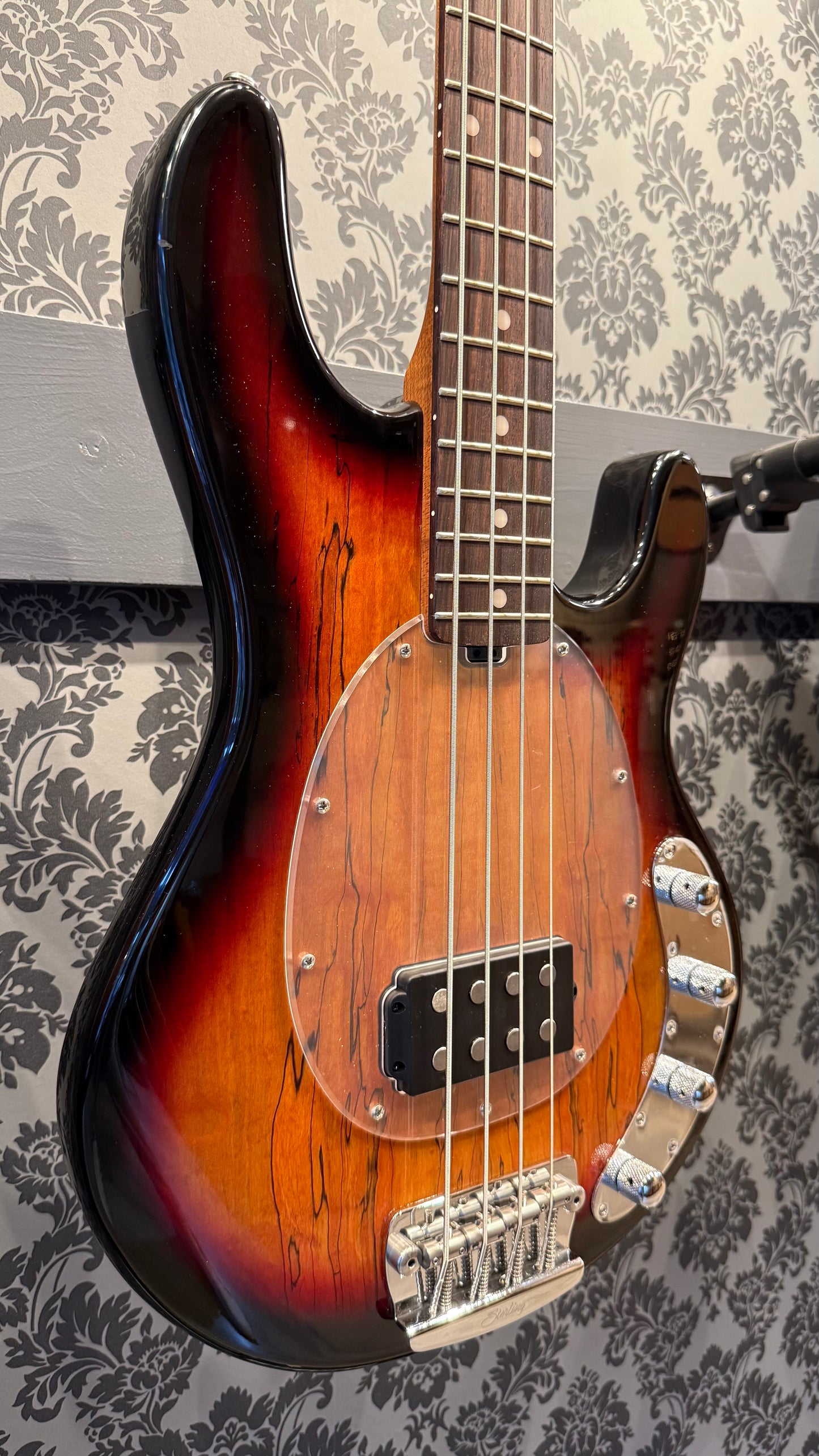 Sterling By Music Man Ray34 Spalted Maple