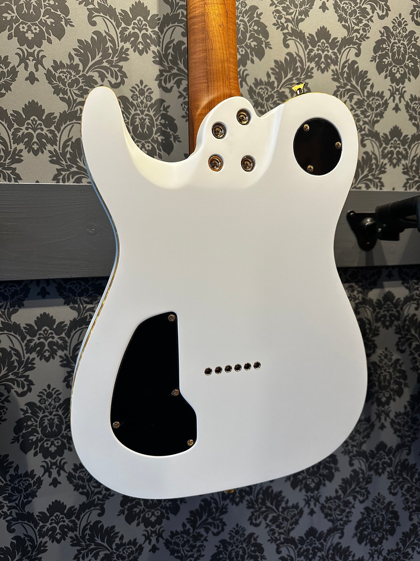 Chapman Chris Robertson Signature White Incl. gigbag