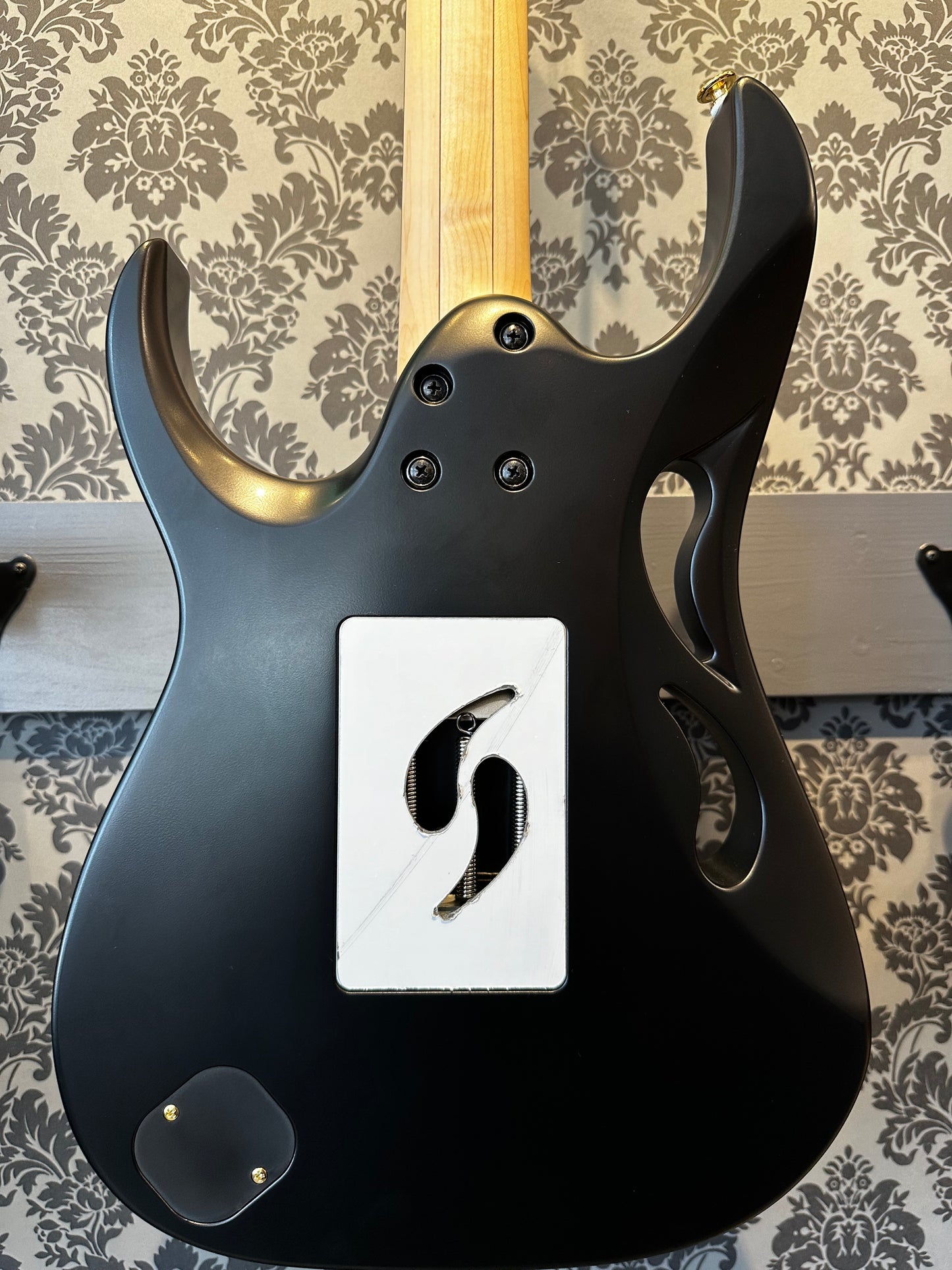 Ibanez PIA3761-XB Steve Vai Signature Model
