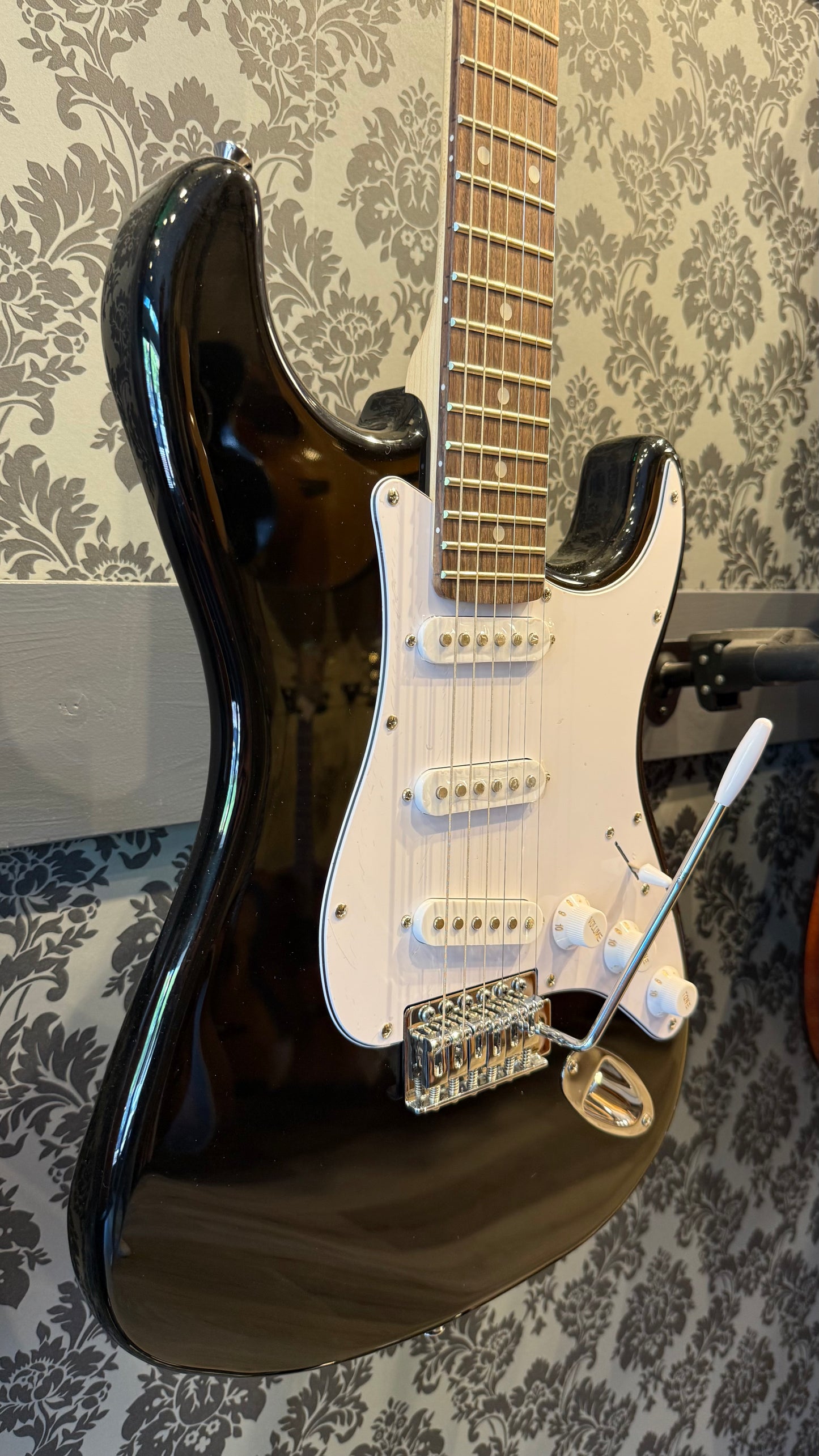 SX ED1/BK Standard Series Black