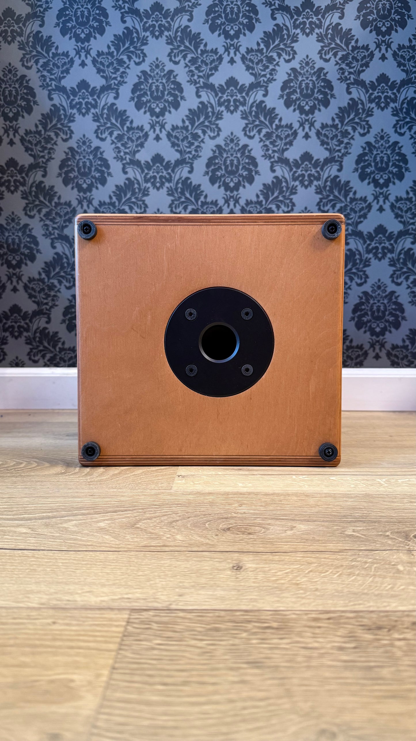 Acus One 5T Acoustic Amp