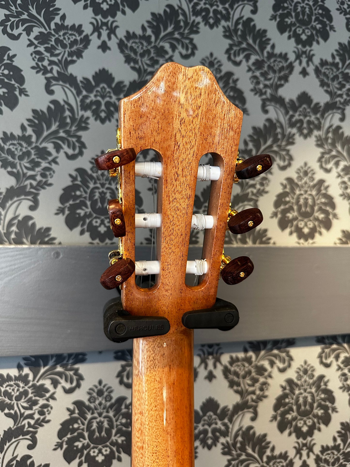 Juan Salvador 6AE Hybrid 48