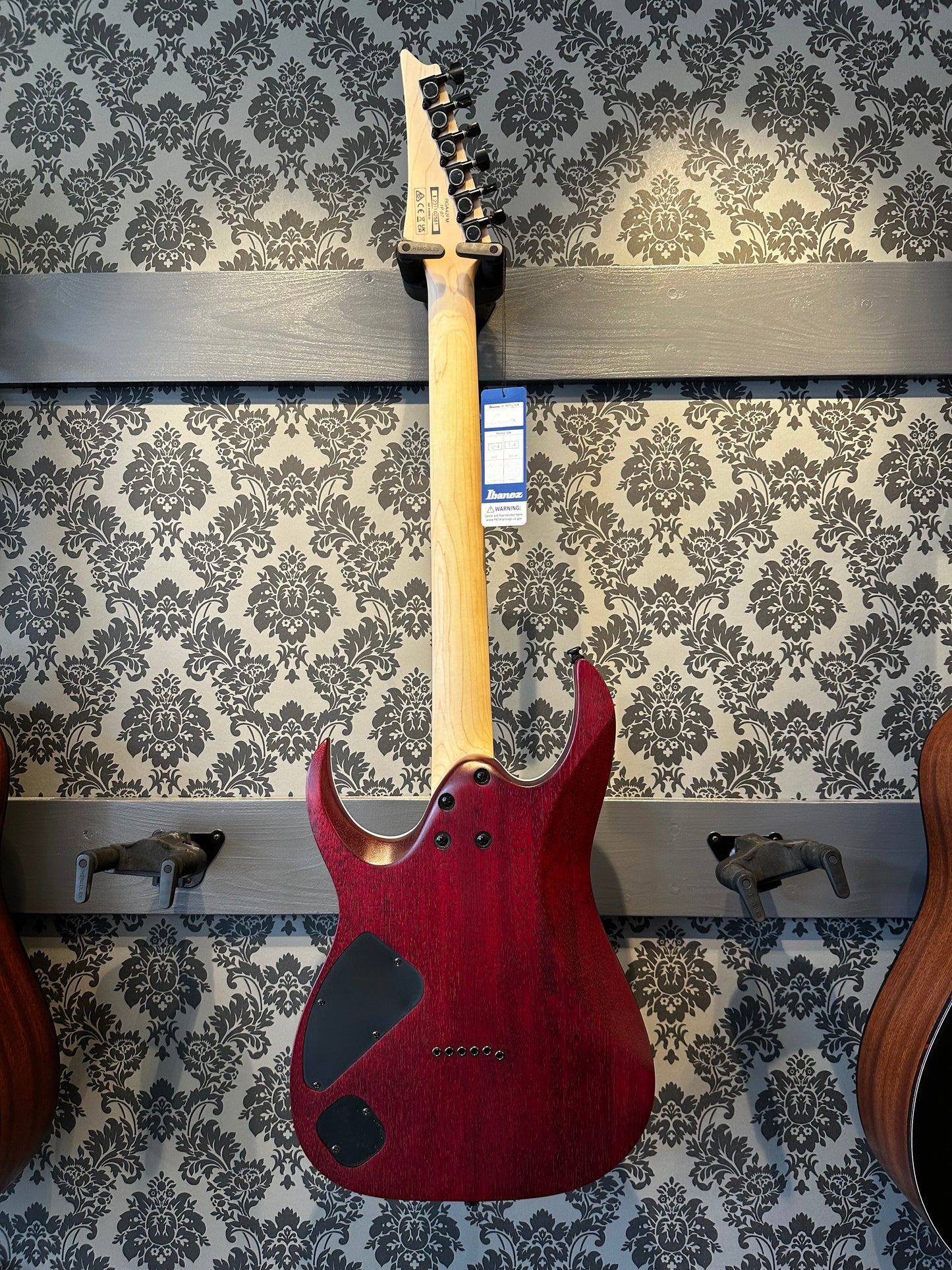 Ibanez RGA42FM-TGF