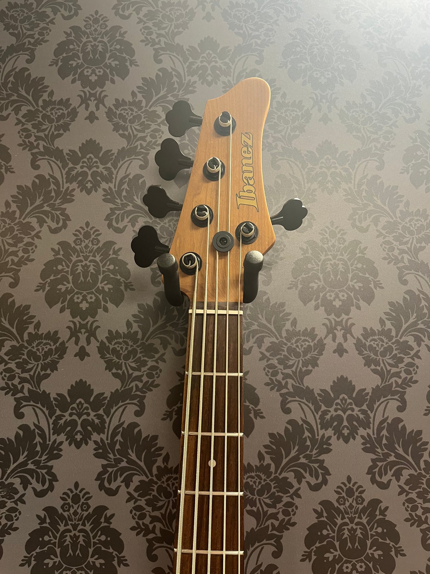 Ibanez MDM1605-Deep Twilight