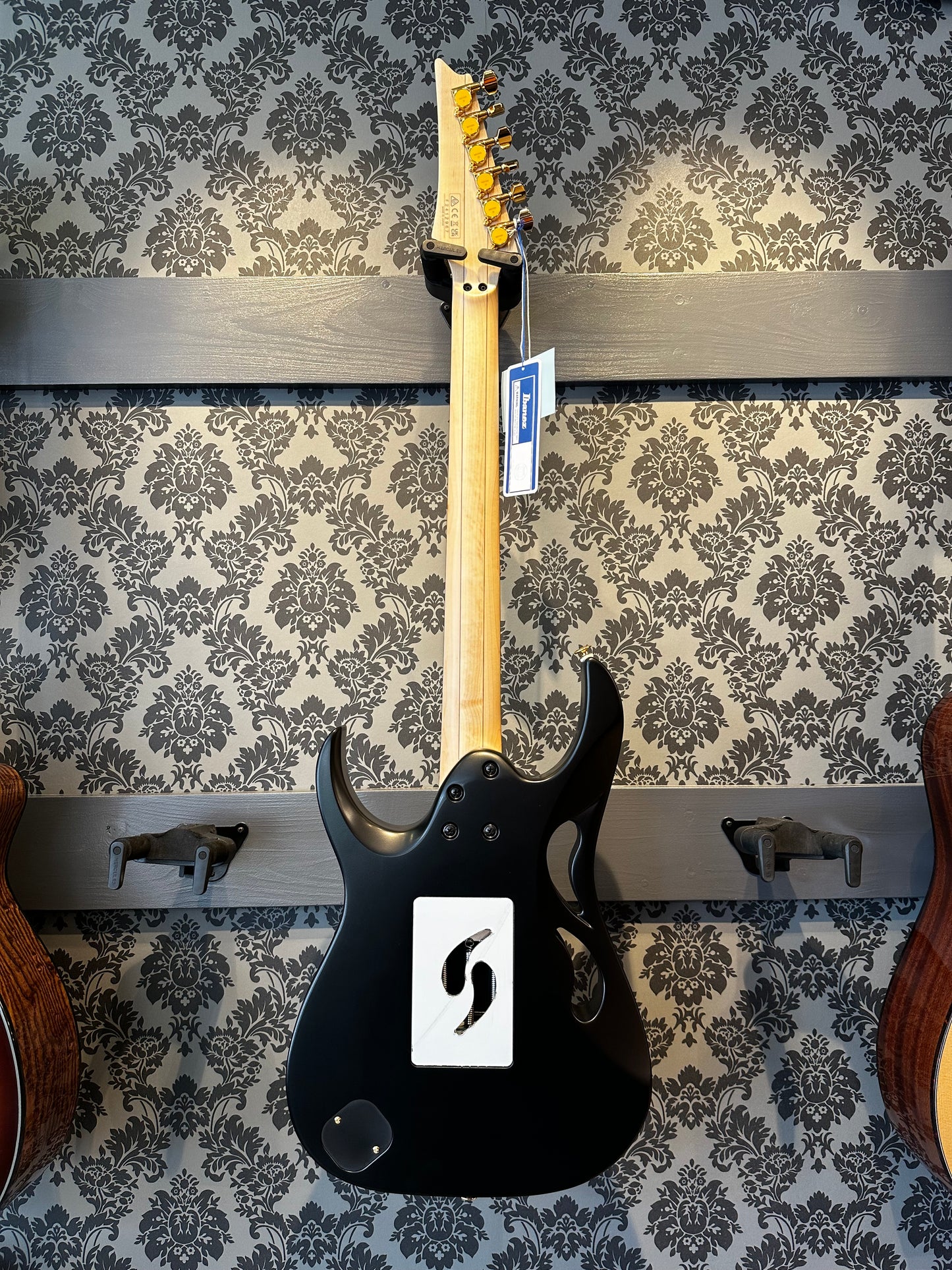 Ibanez PIA3761-XB Steve Vai Signature Model