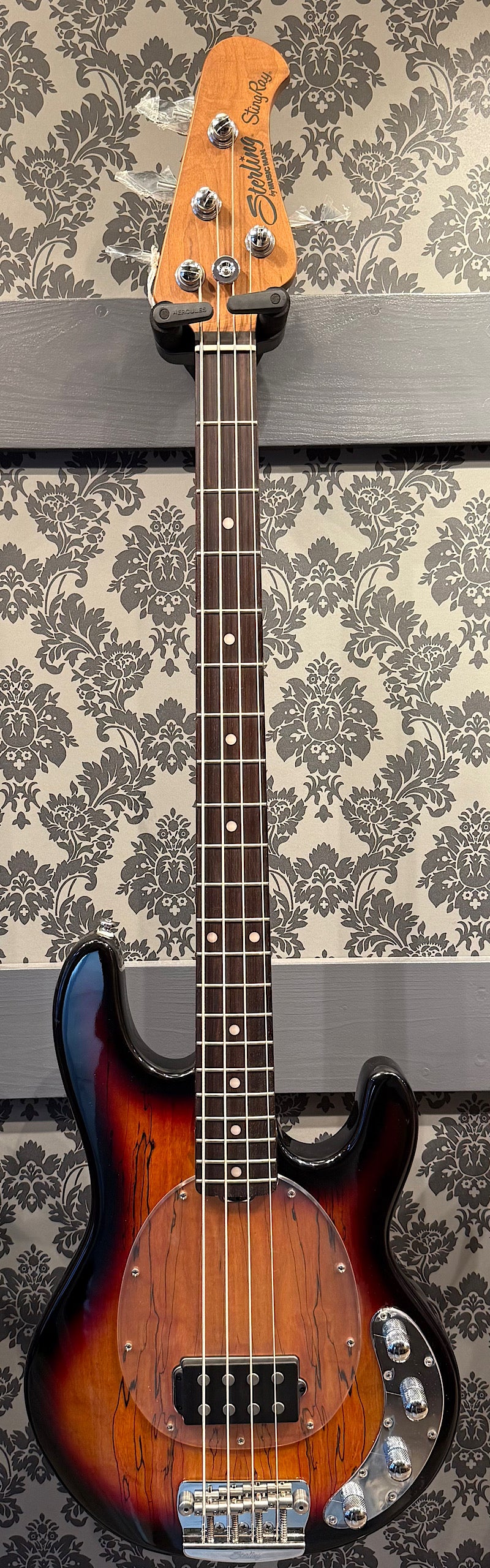 Sterling By Music Man Ray34 Spalted Maple