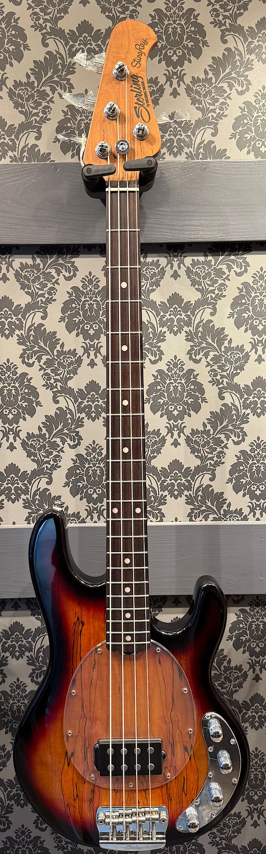 Sterling By Music Man Ray34 Spalted Maple