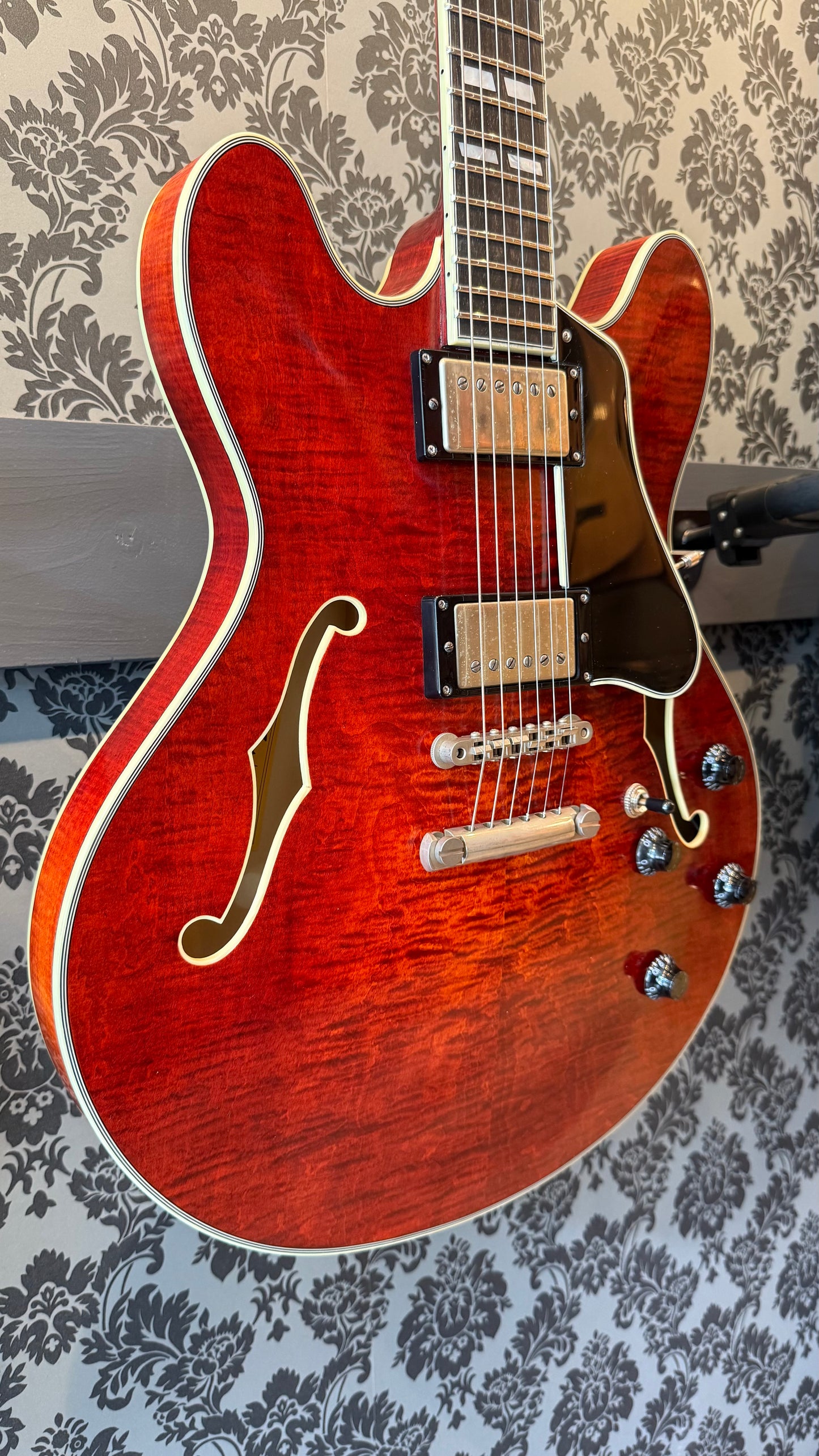 Eastman T59/TV 16" Thinline Seymour Duncan HB incl.case (B-stock)