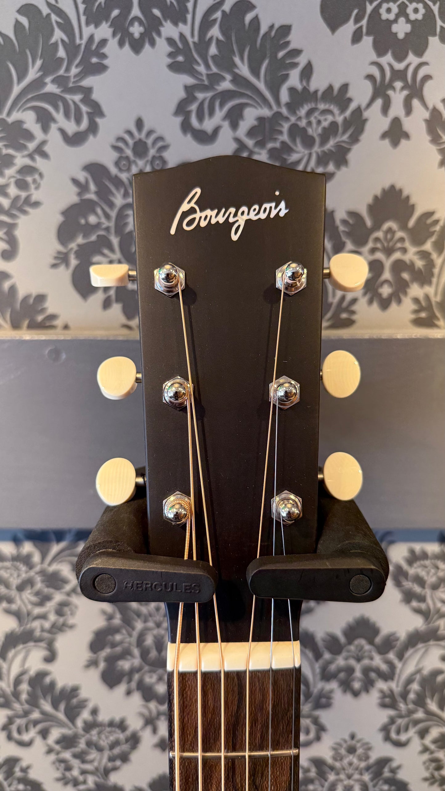 Bourgeois LDBS/TS The Standard Touchstone Series incl.case