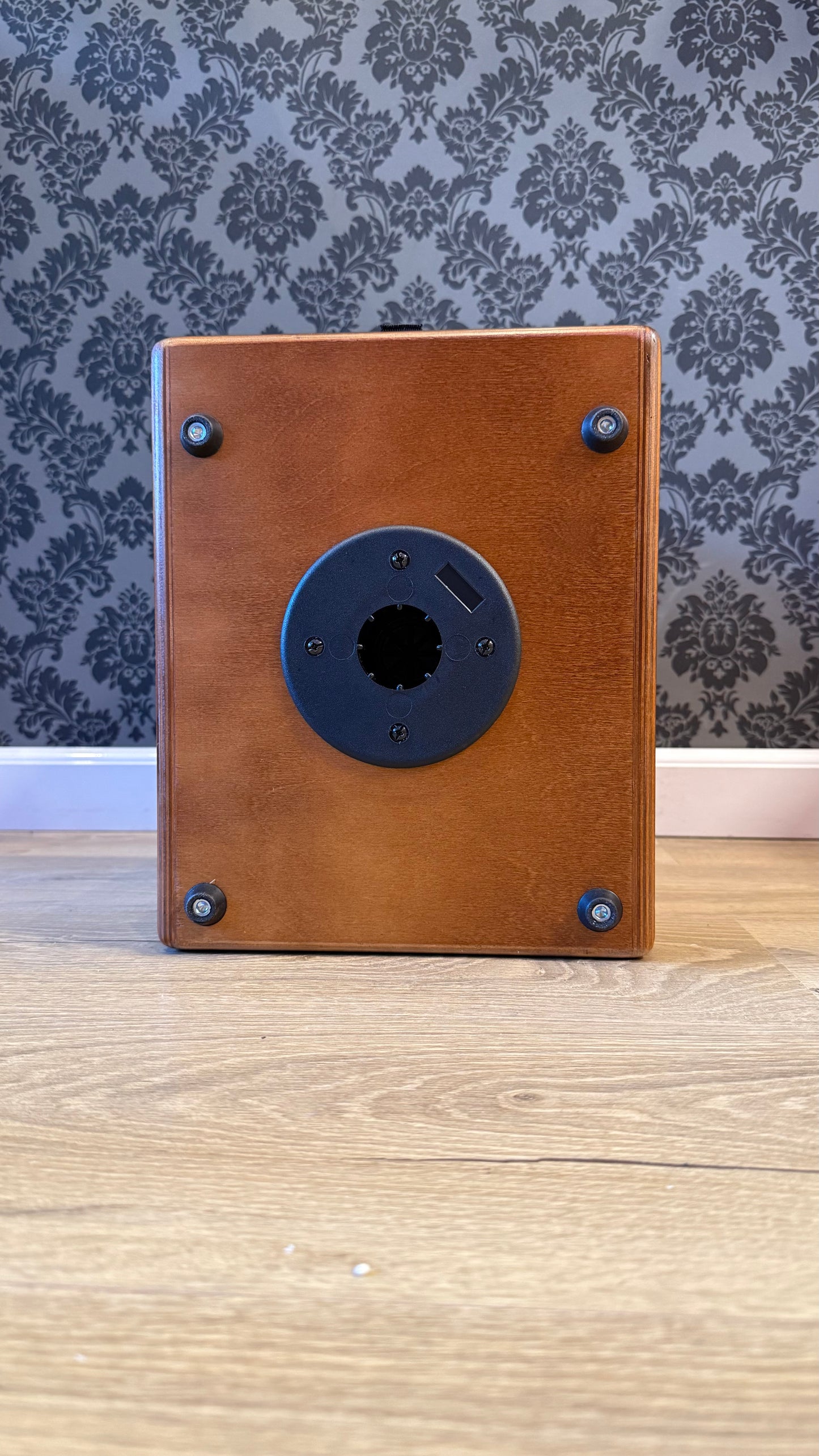 GR Guitar Acoustic Guitar Combo 3ch 120W Biamped