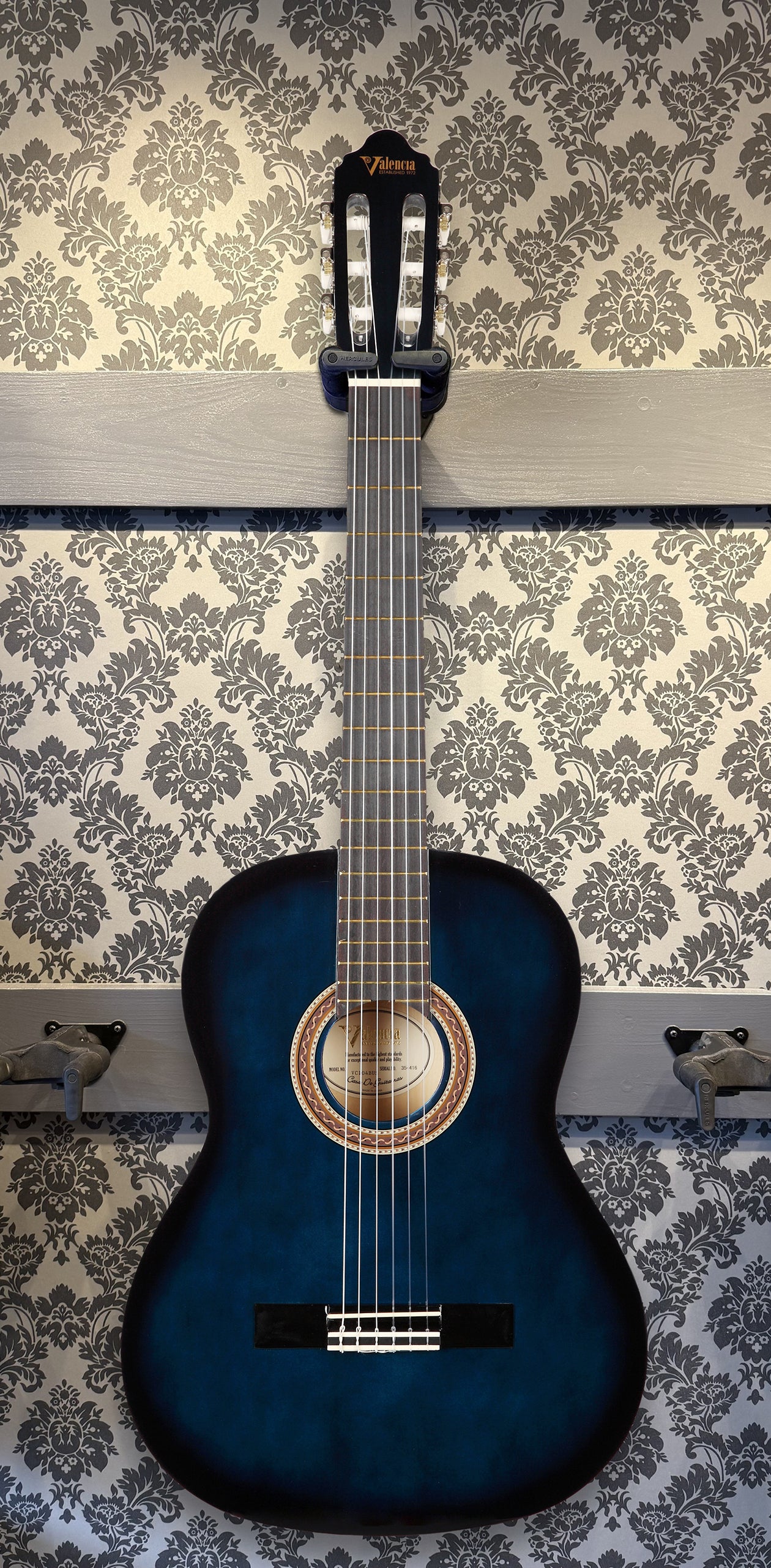 Valencia VC104 BUS classic guitar