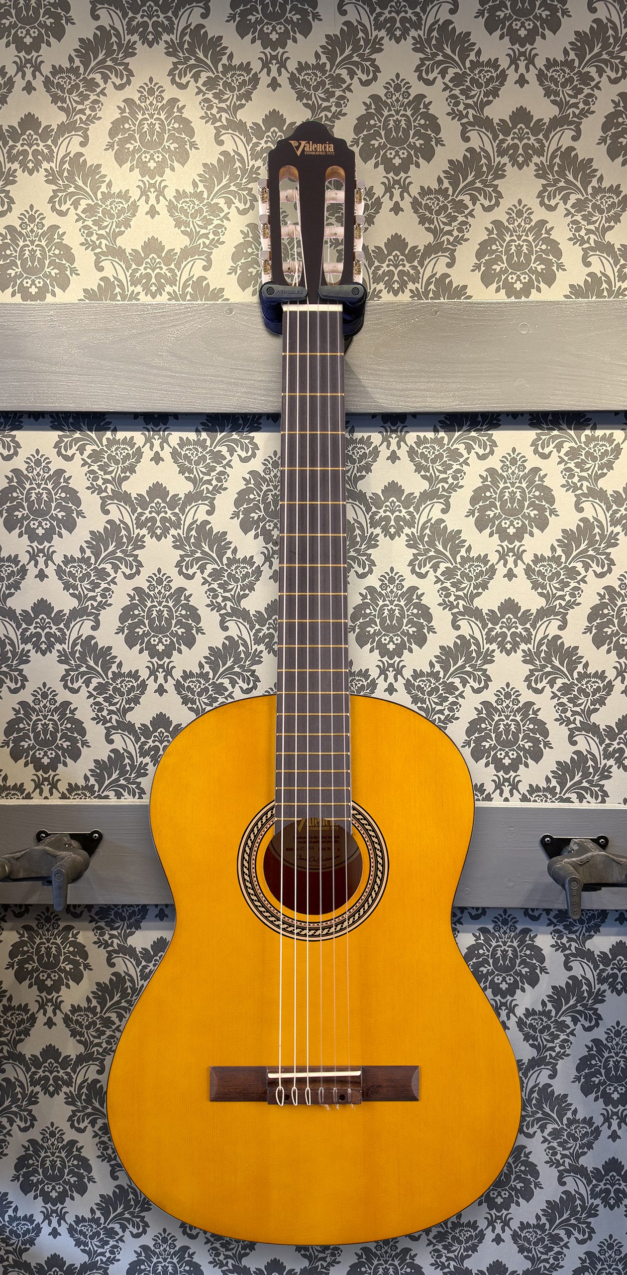 Valencia VC204 classic guitar 4/4