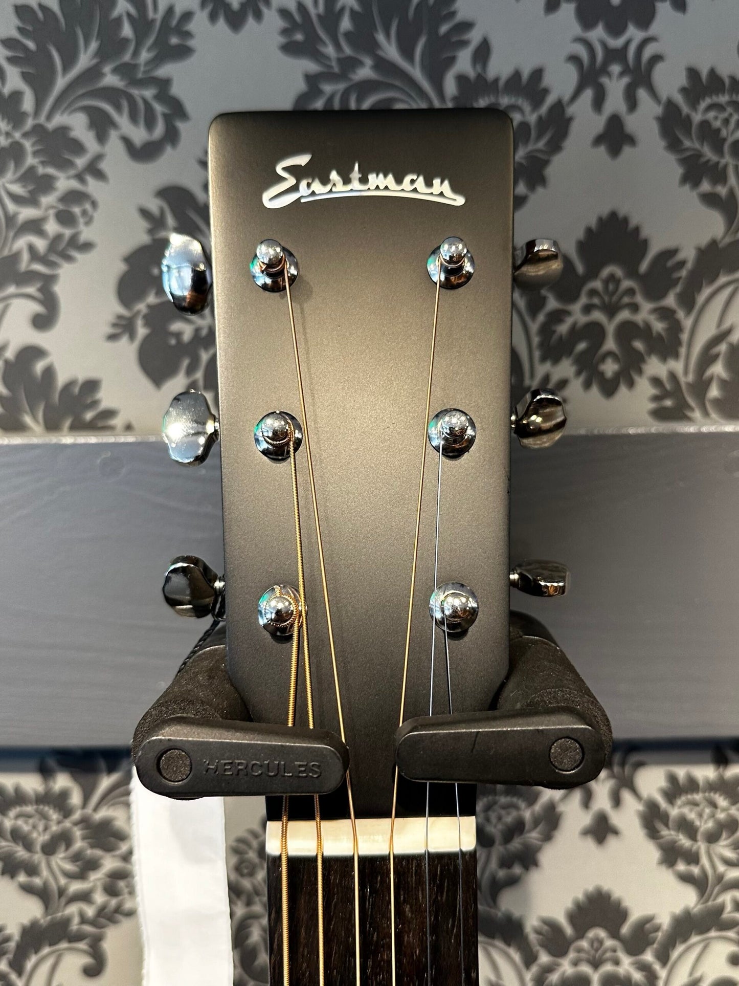 Eastman E1 D Special Incl. gigbag