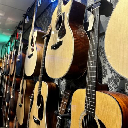 Acoustic Guitars