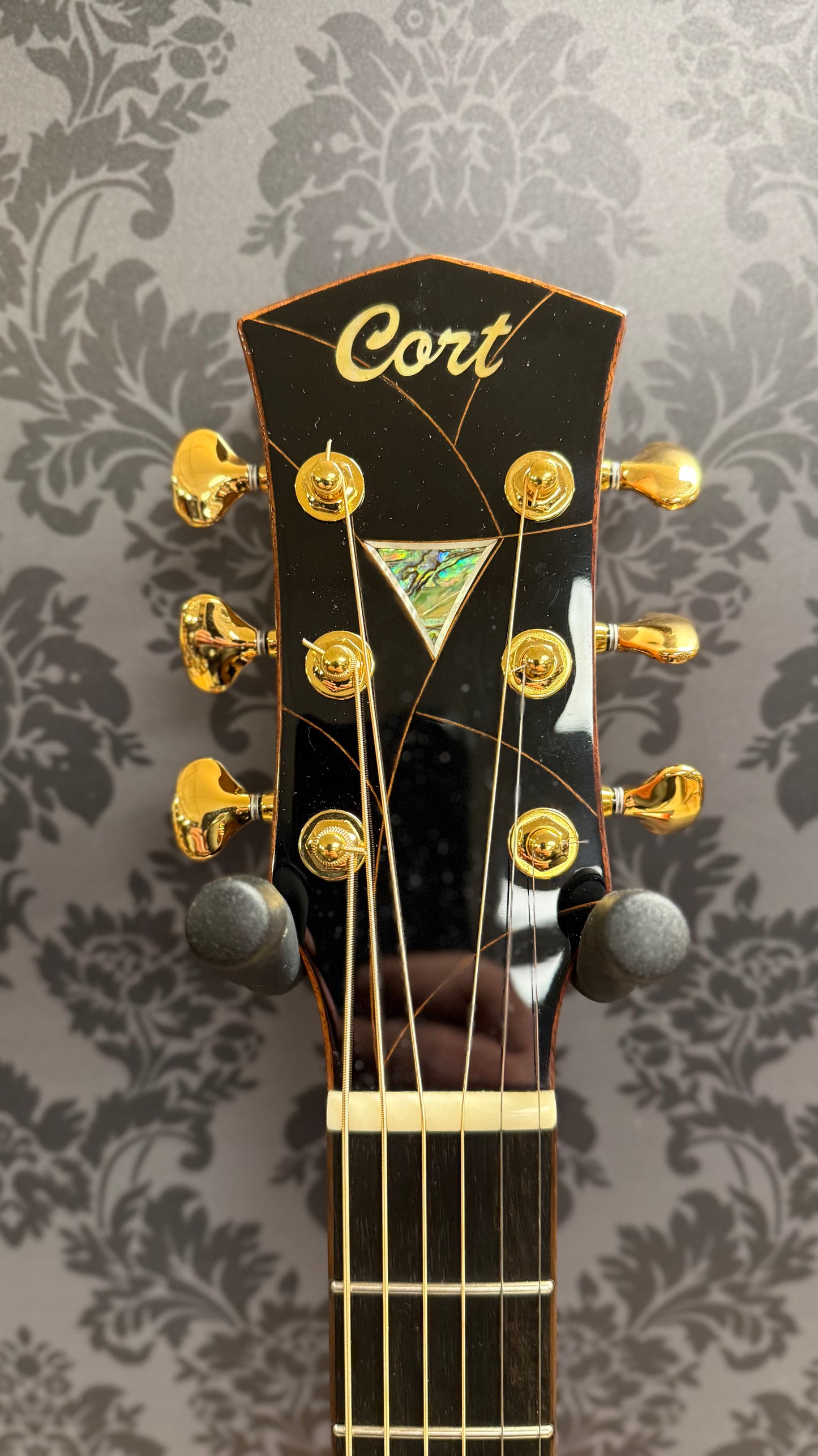 Cort Abstract Limited Koa/Spruce incl. case (occasion)