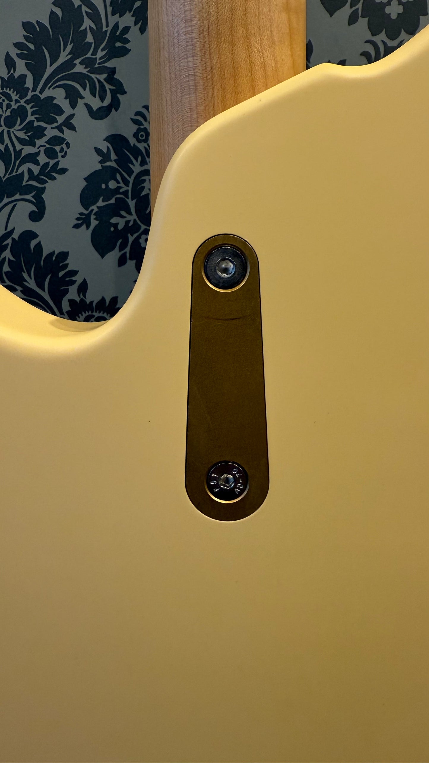 Eastman FT-SC'52 Fuller-tone Series Dessert Sand incl.bag