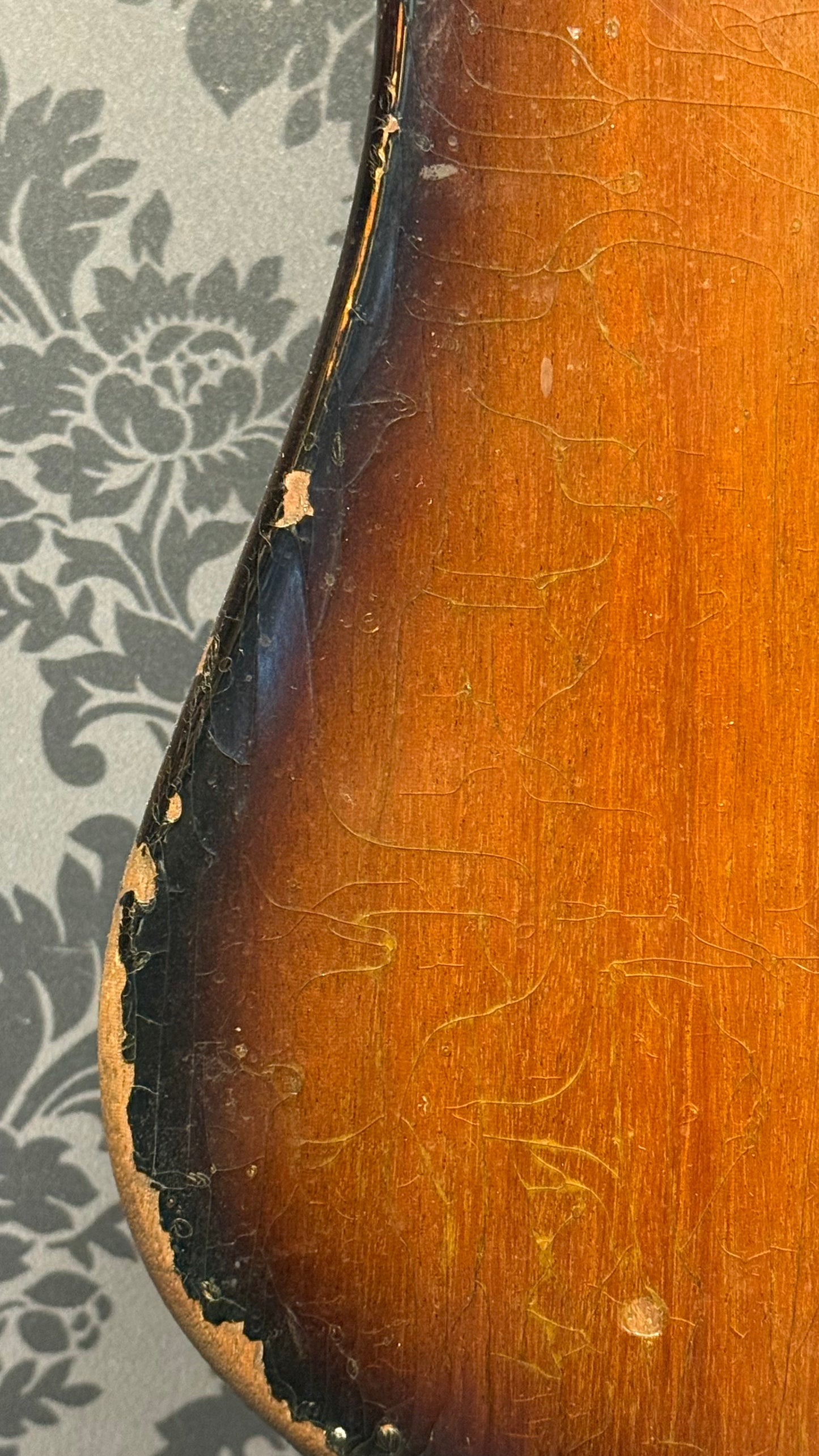 Gibson Thunderbird IV (Non-Reverse) 1968 sunburst bass (occasion)