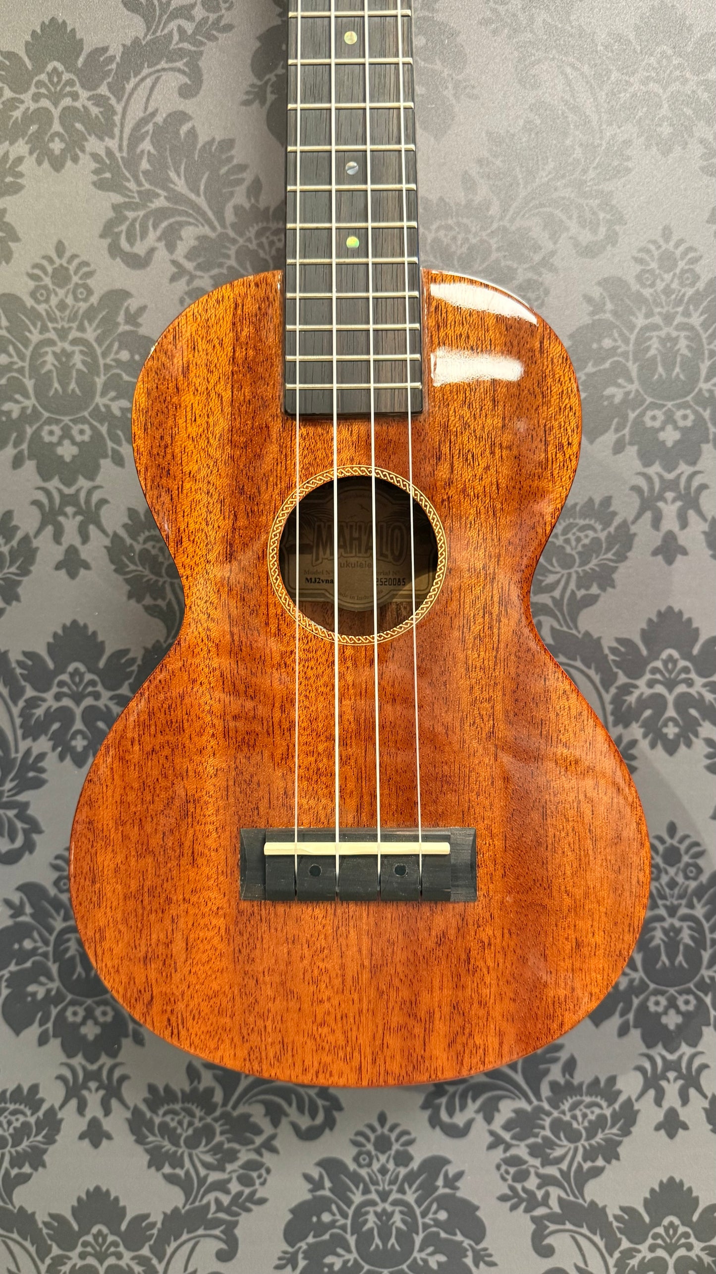 Mahalo MJ2 VNA Java Series Concert Ukelele incl.bag