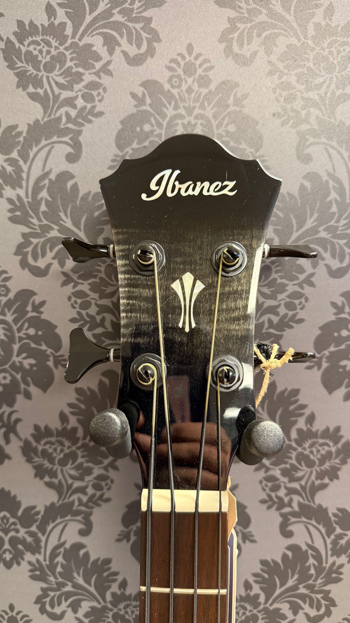 Ibanez AEGB-25 ETKH Acoustic Bass