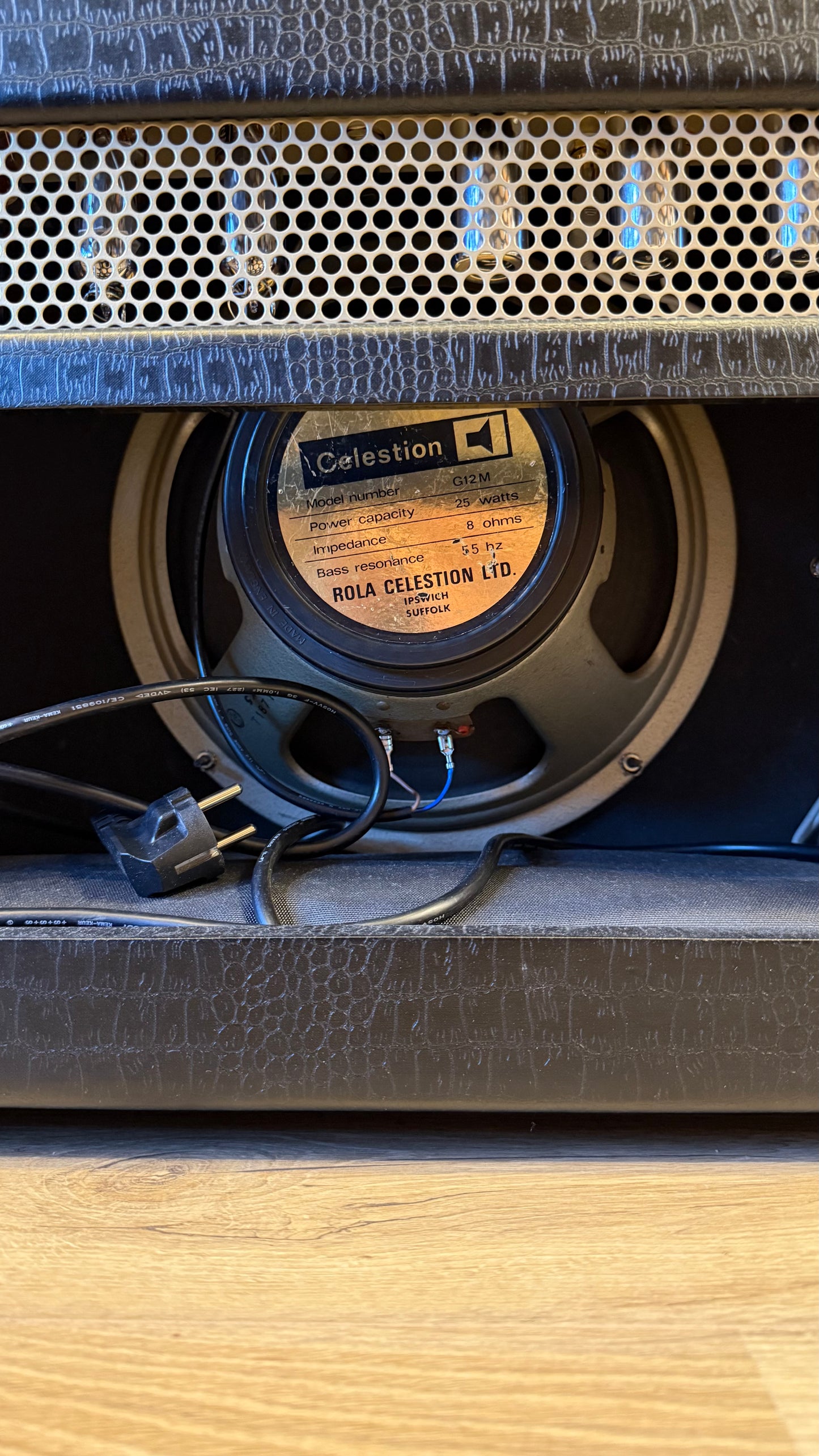 Magnatone Varsity 12 Reverb (occasion)