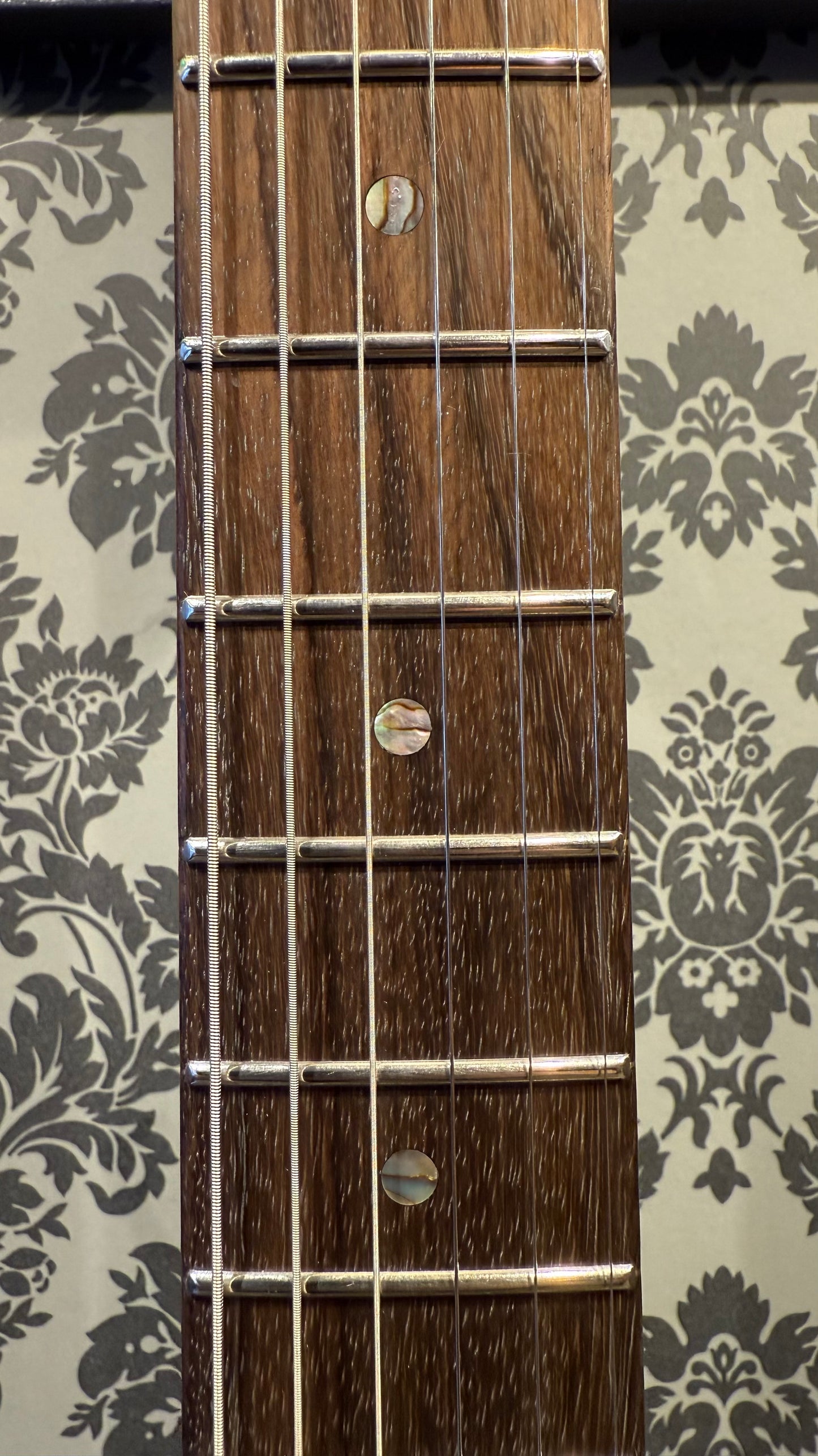 Henry's ST-1C Snake Sunburst Classic incl.bag