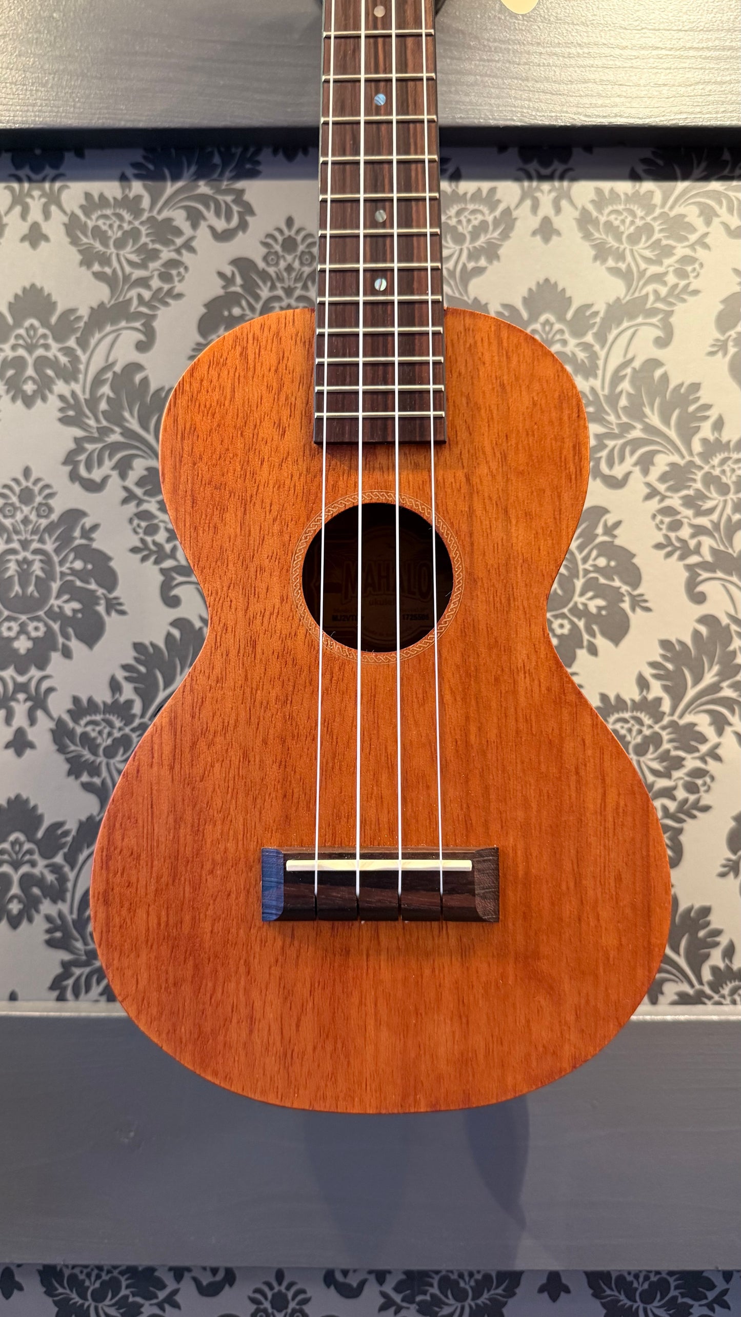 Mahalo MJ-2 Java Series Concert Ukulele