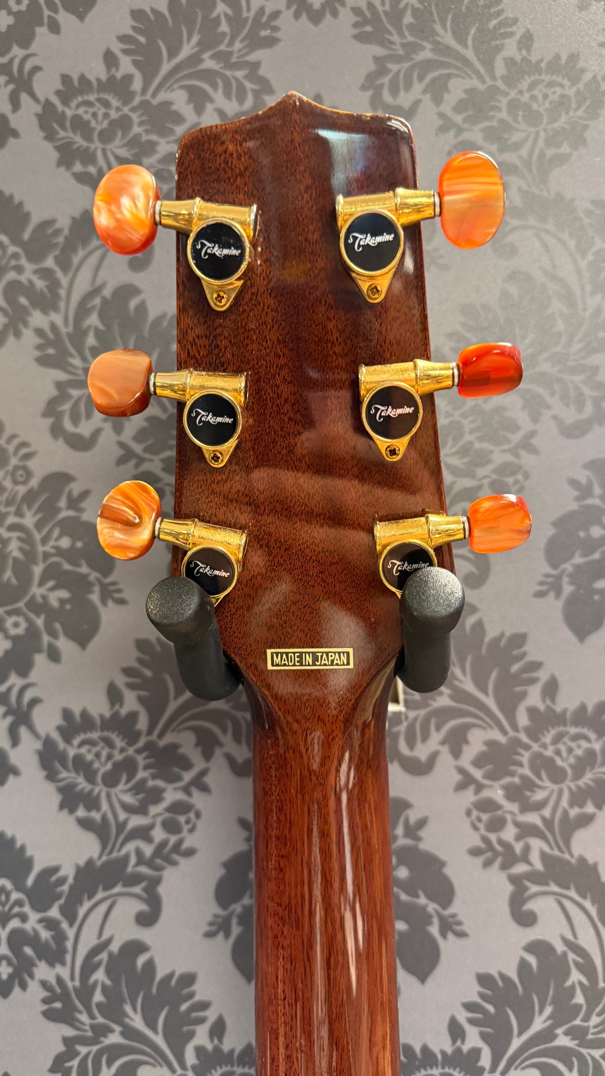 Takamine Santa Fe PSF-15C + case (Occasion)