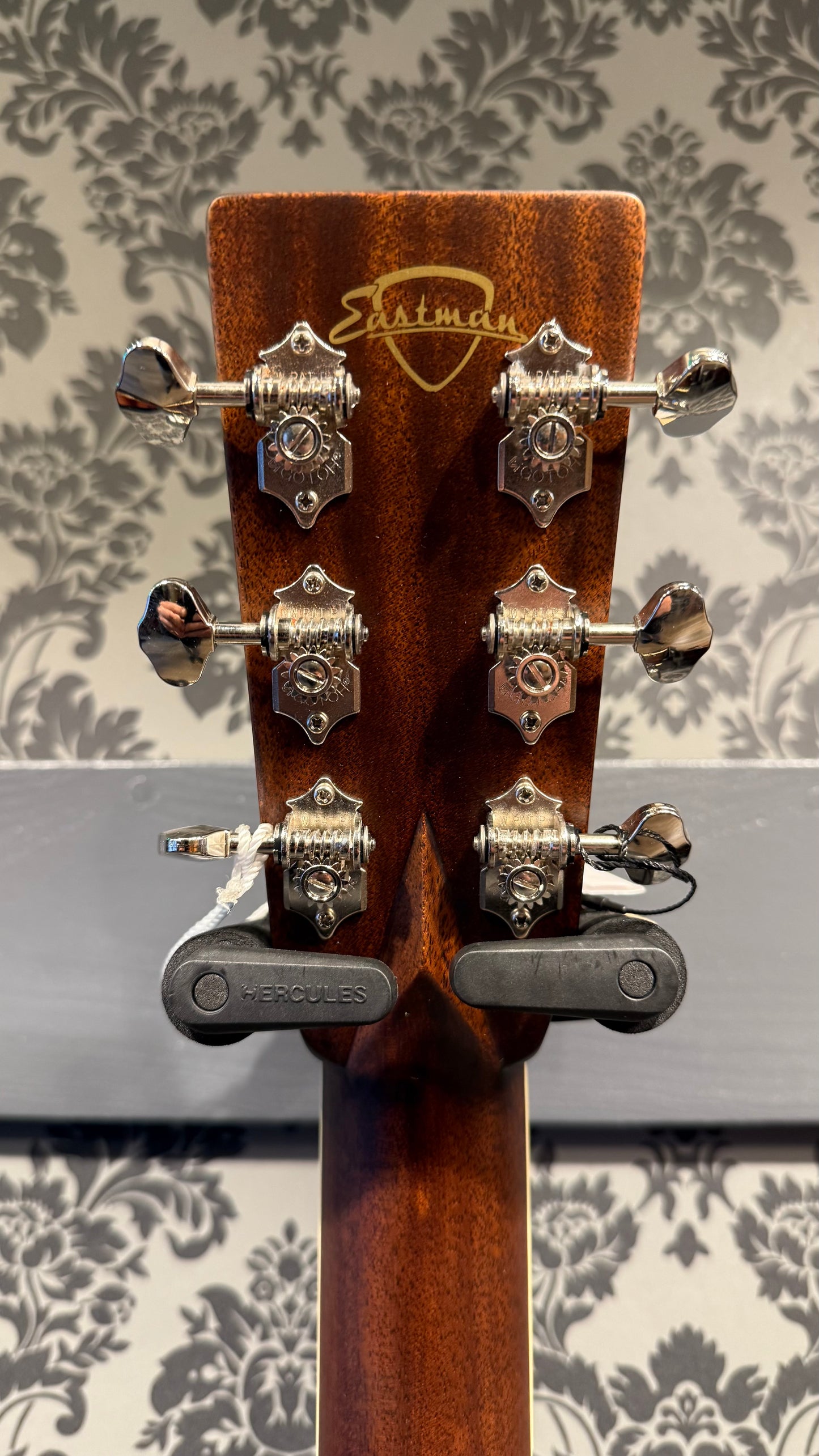 Eastman E20D-TC-LSH incl. case