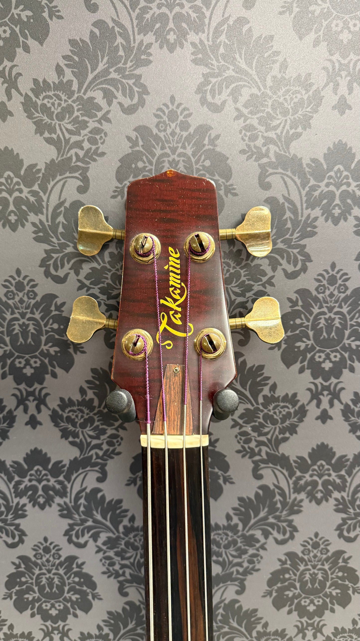 Takamine B10 Acoustic Bass incl Case (occasion)