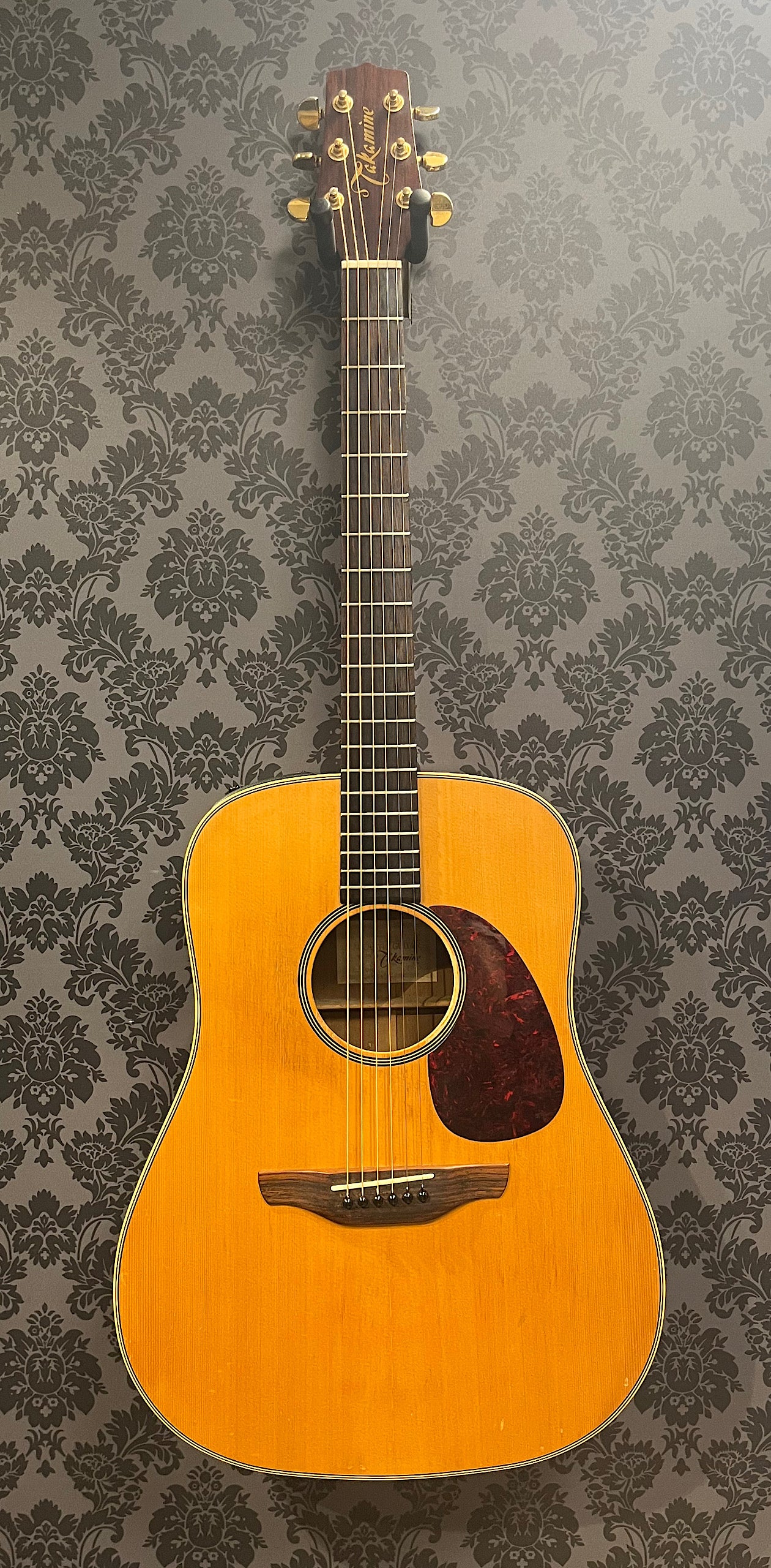 Takamine EG-10 G-series (occasion)