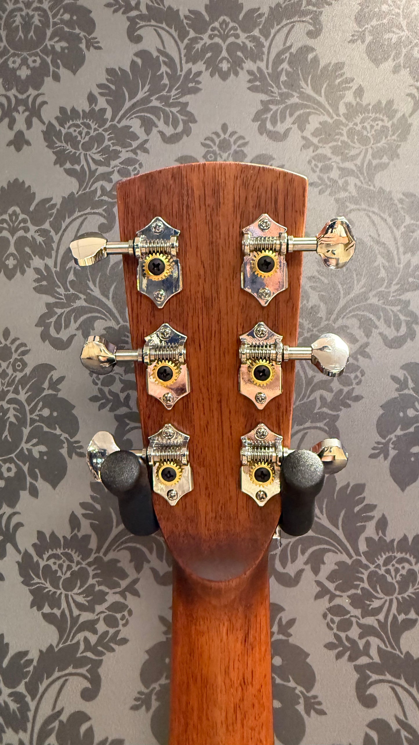 Bristol BD-2165B incl Gigbag