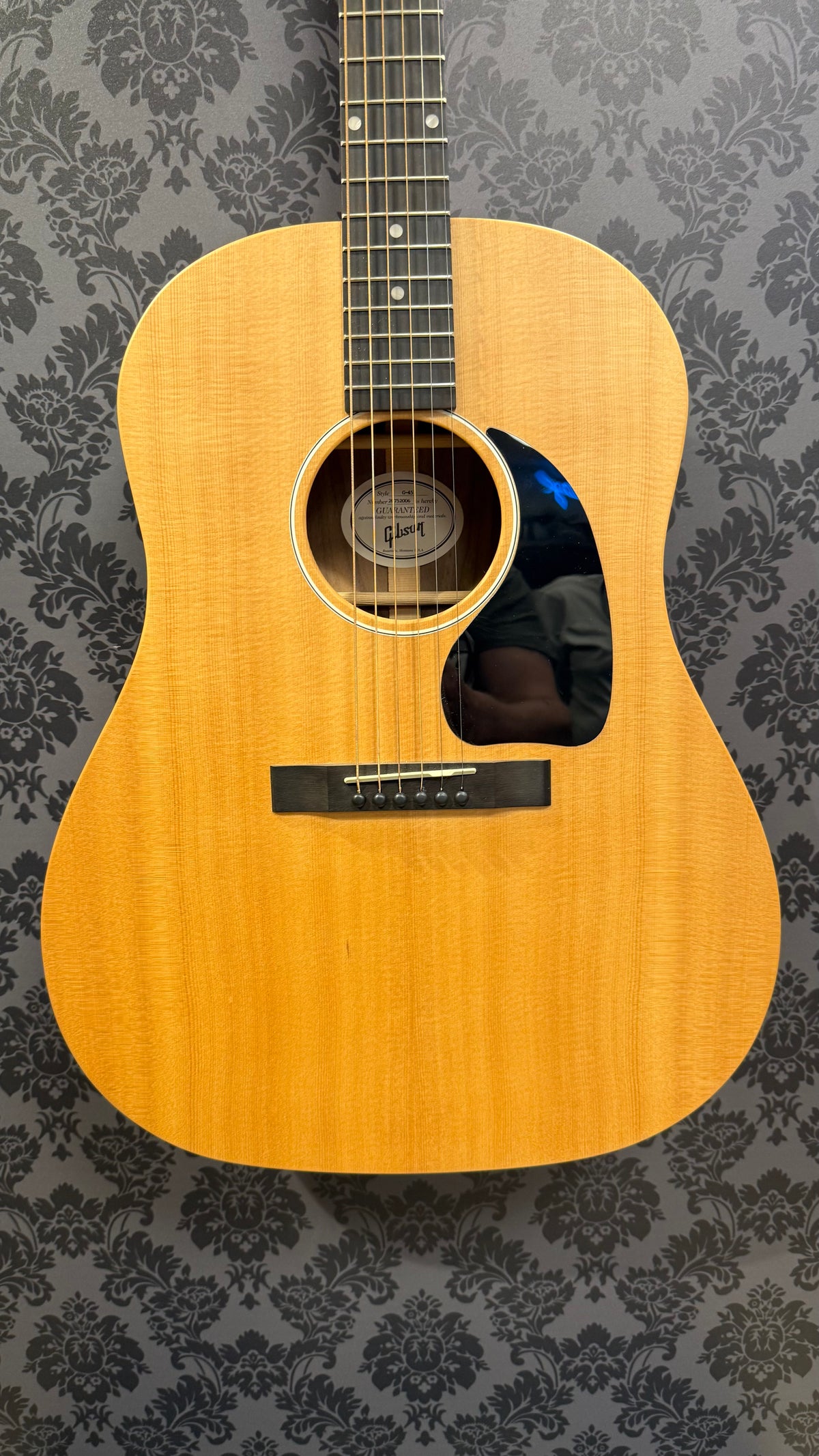 Gibson G-45 +Gigbag (occasion)