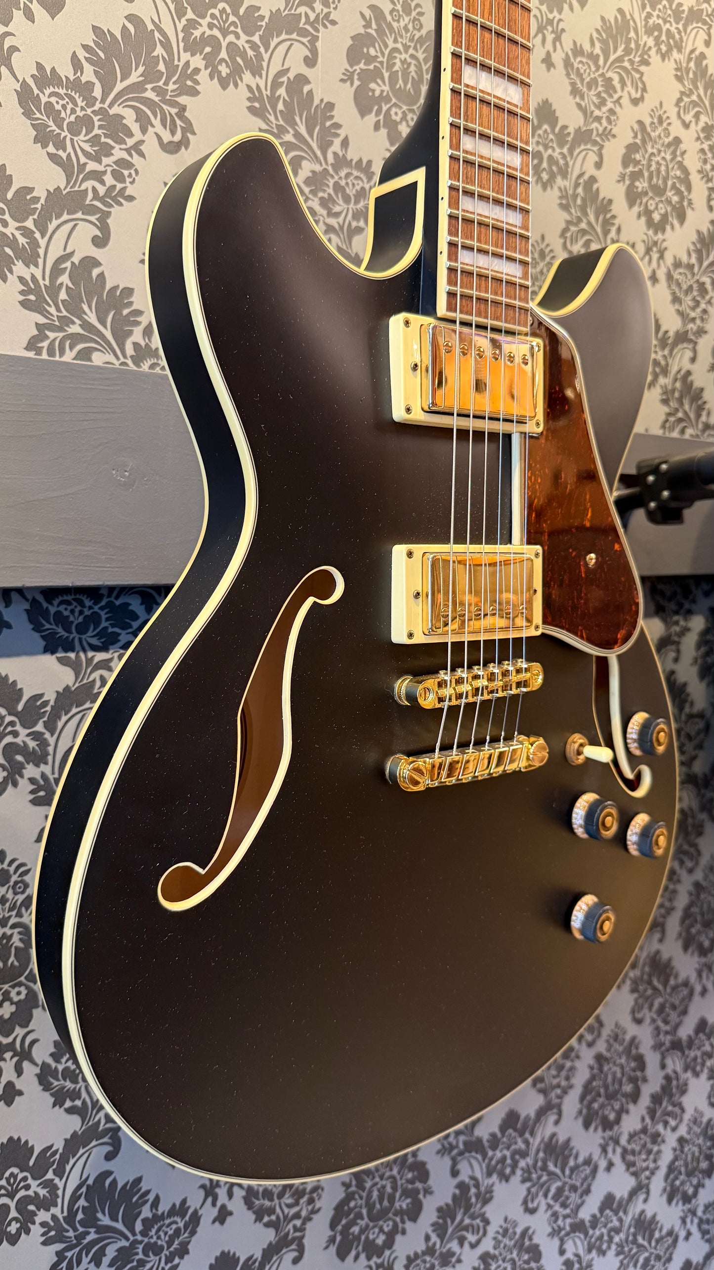Ibanez AS73 G BKF (occasion)