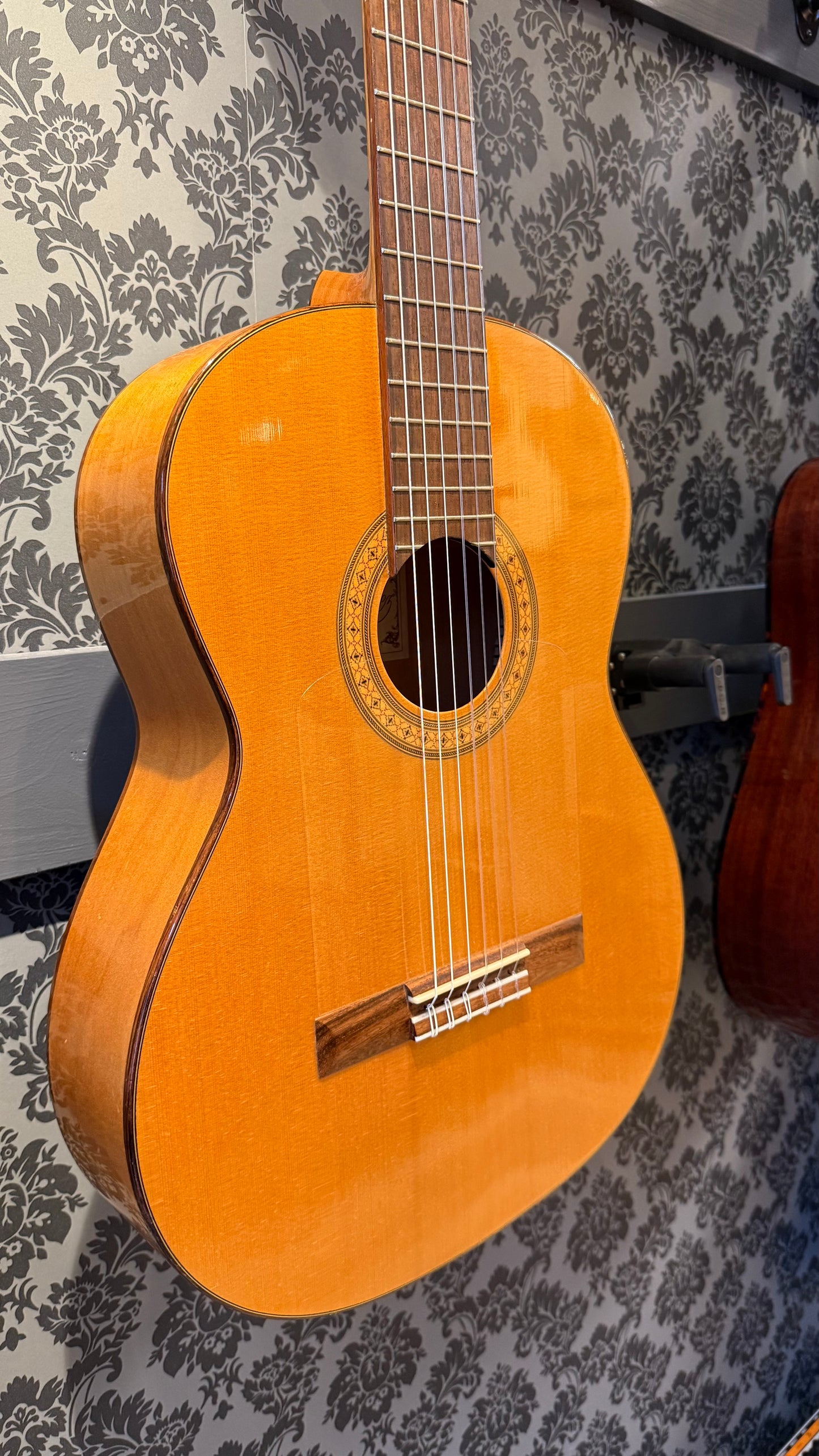 Salvador Cortez CF-55 Flamenco guitar (occasion)