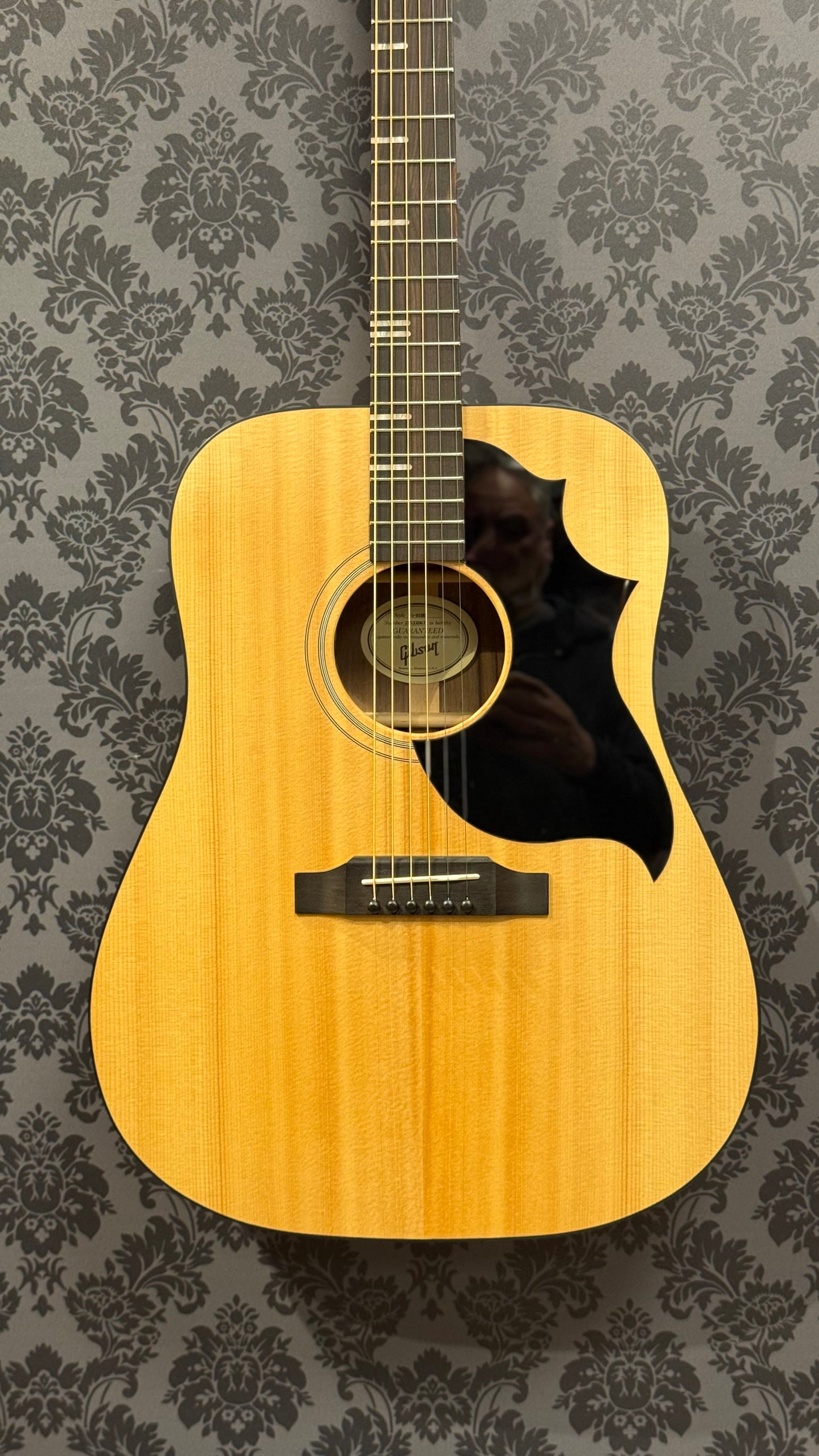 Gibson Generation Collection G-Bird Nat incl. bag (occasion)