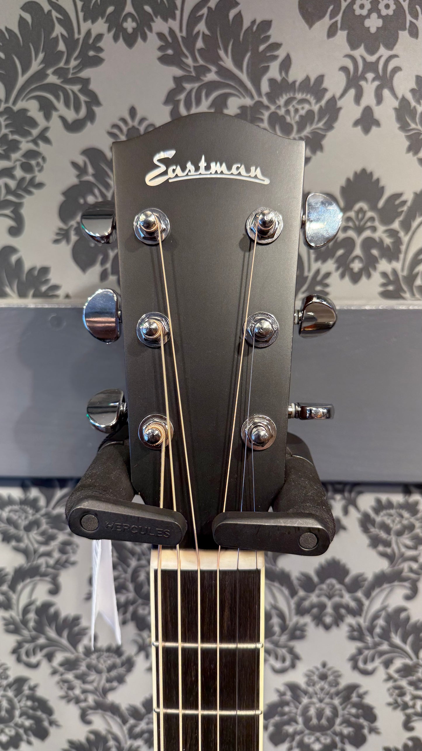 Eastman AC322CE LR Baggs incl.case