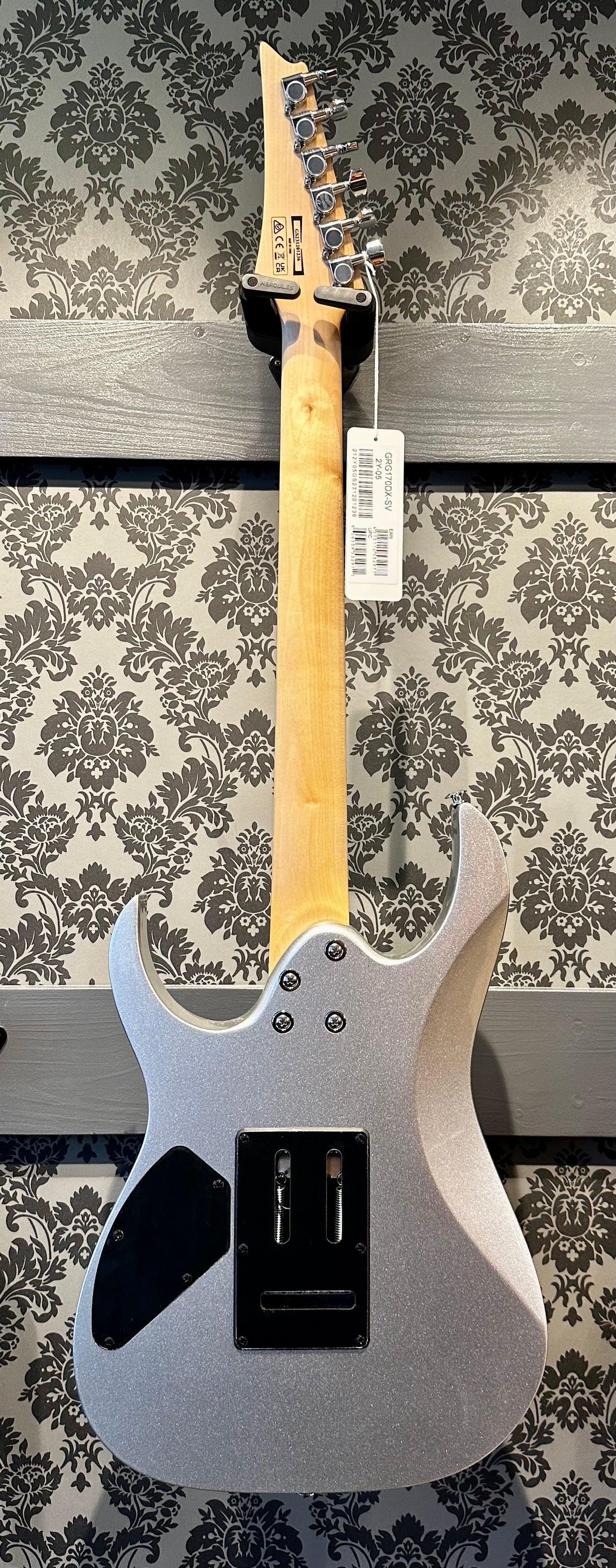 Ibanez GRG170-DXSV Silver