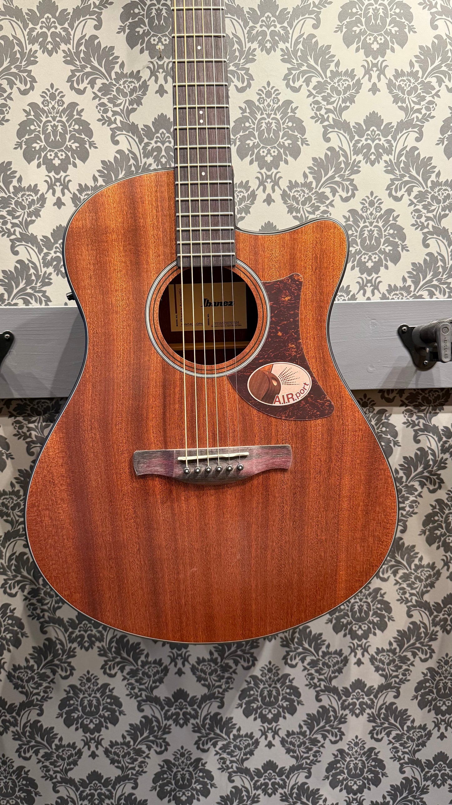 Ibanez AAM54CE-OPN Open Pore